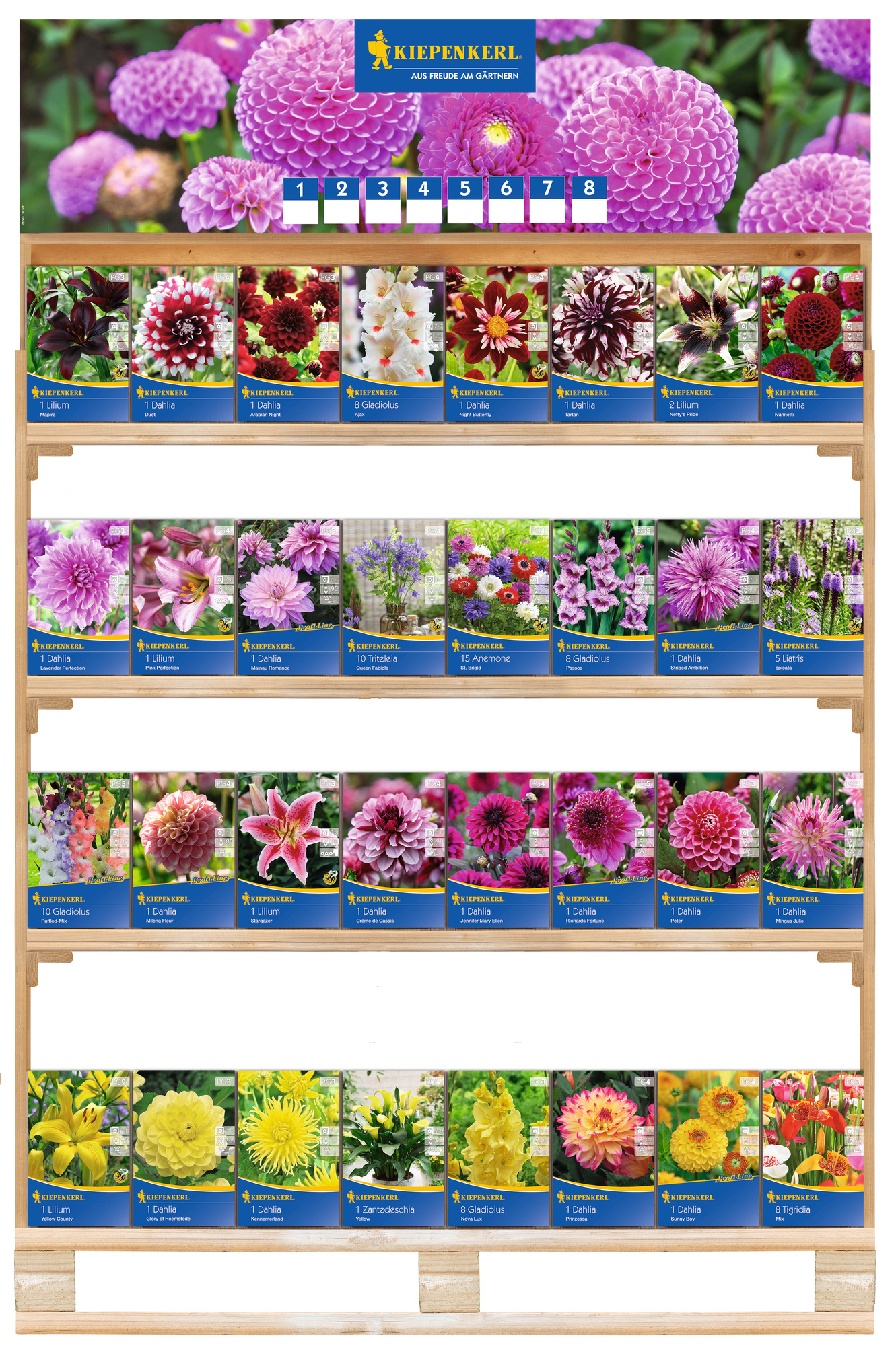 2026 - Frühjahr - Kiepenkerl-Blumenzwiebeln 'Slowflower - Schnittblumen' im Euro-Regal 2026 - Frühjahr - Kiepenkerl-Blumenzwiebeln 'Slowflower - Schnittblumen' im Euro-Regal