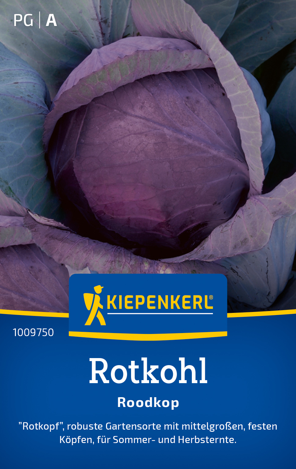 Rotkohl Roodkop