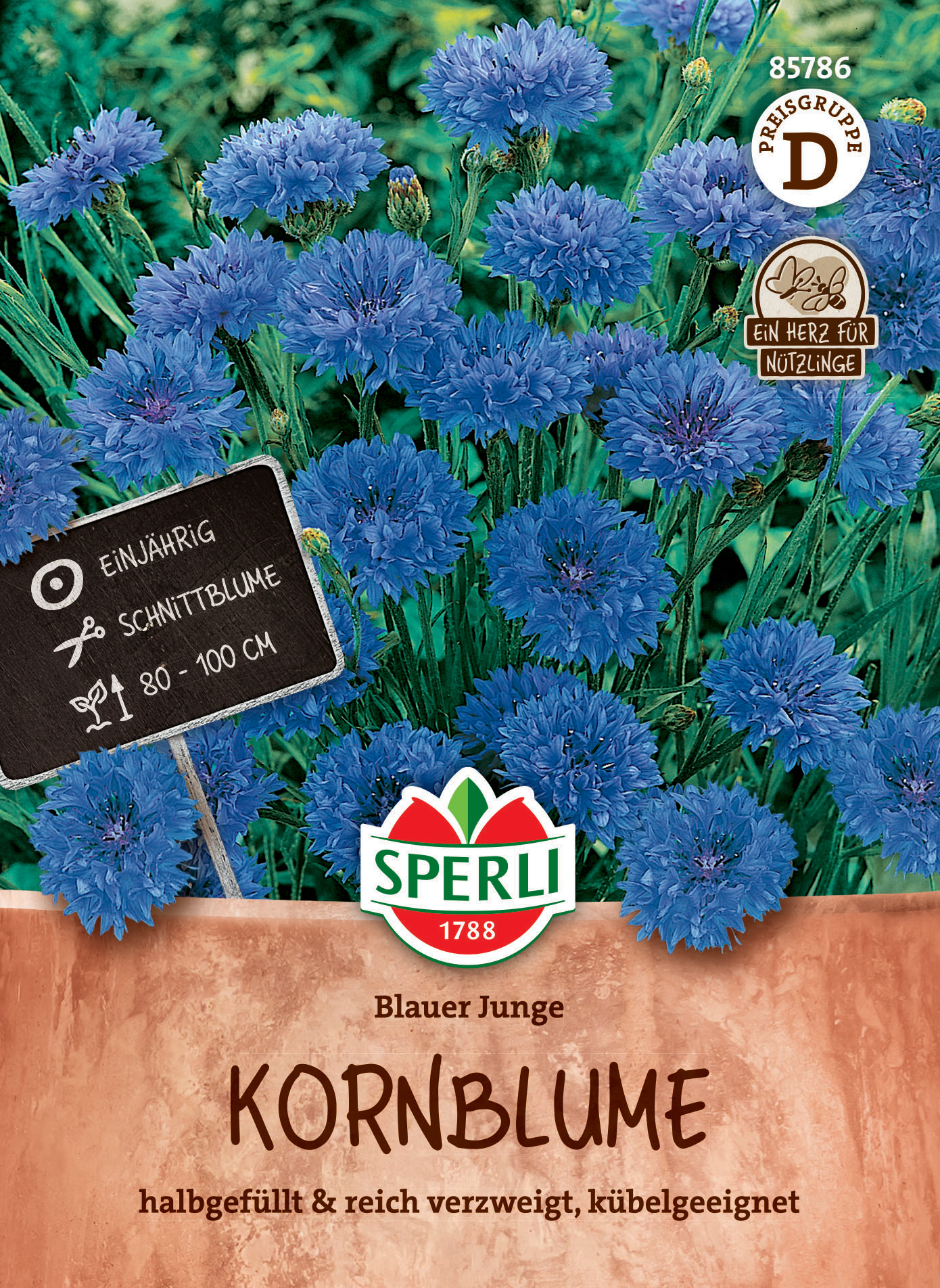 Kornblume Blauer Junge Kornblume Blauer Junge