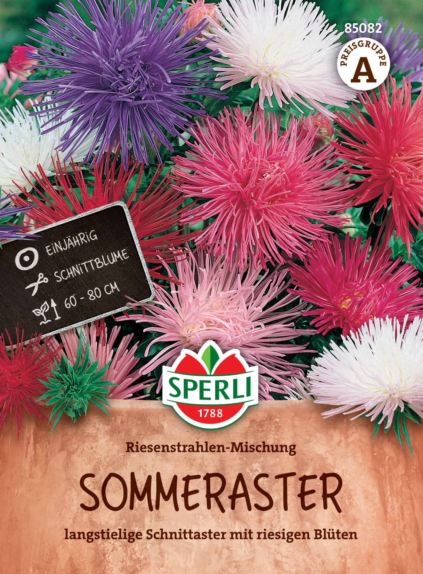 Sommeraster Riesenstrahlen-Mischung Sommeraster Riesenstrahlen-Mischung