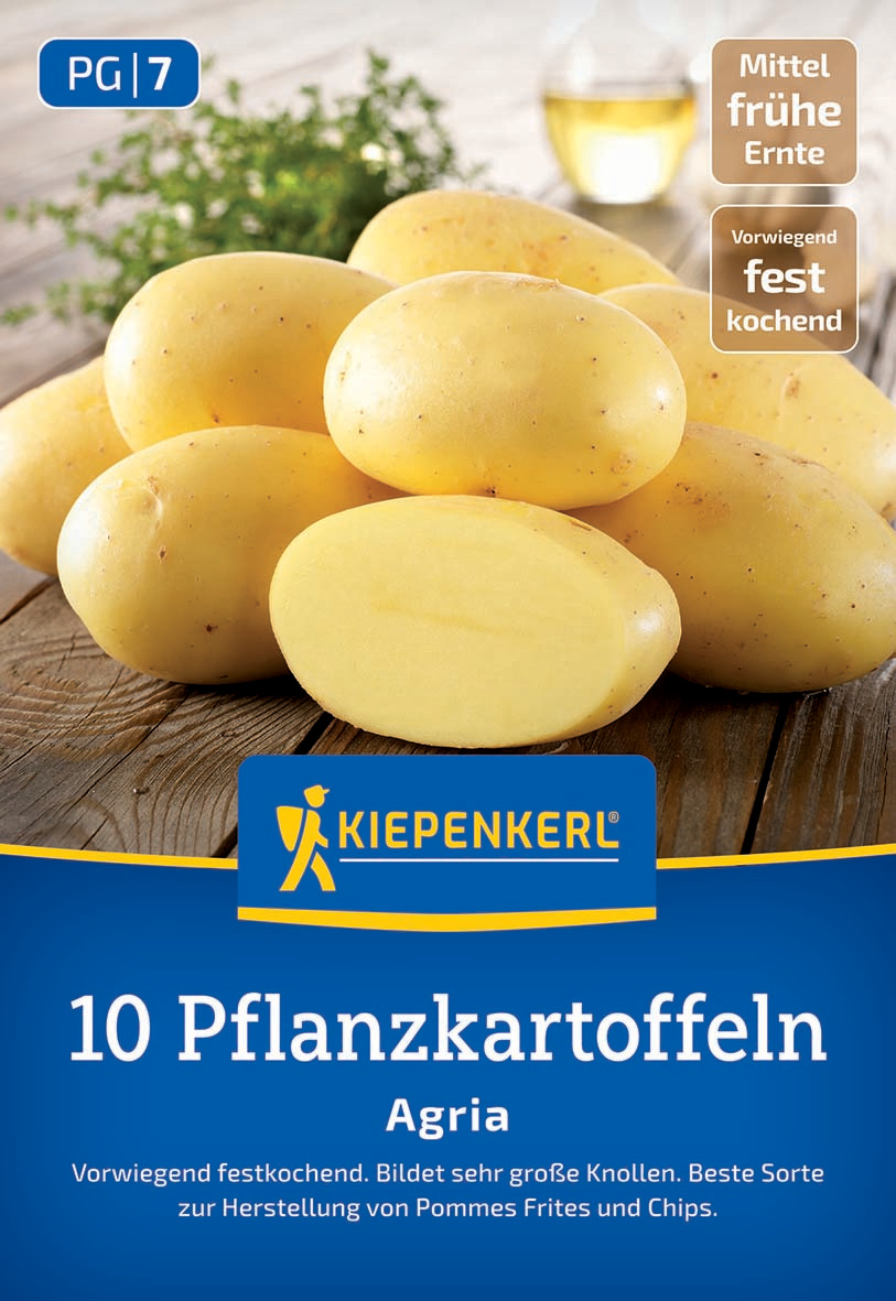 Pflanzkartoffel Agria, 10 St