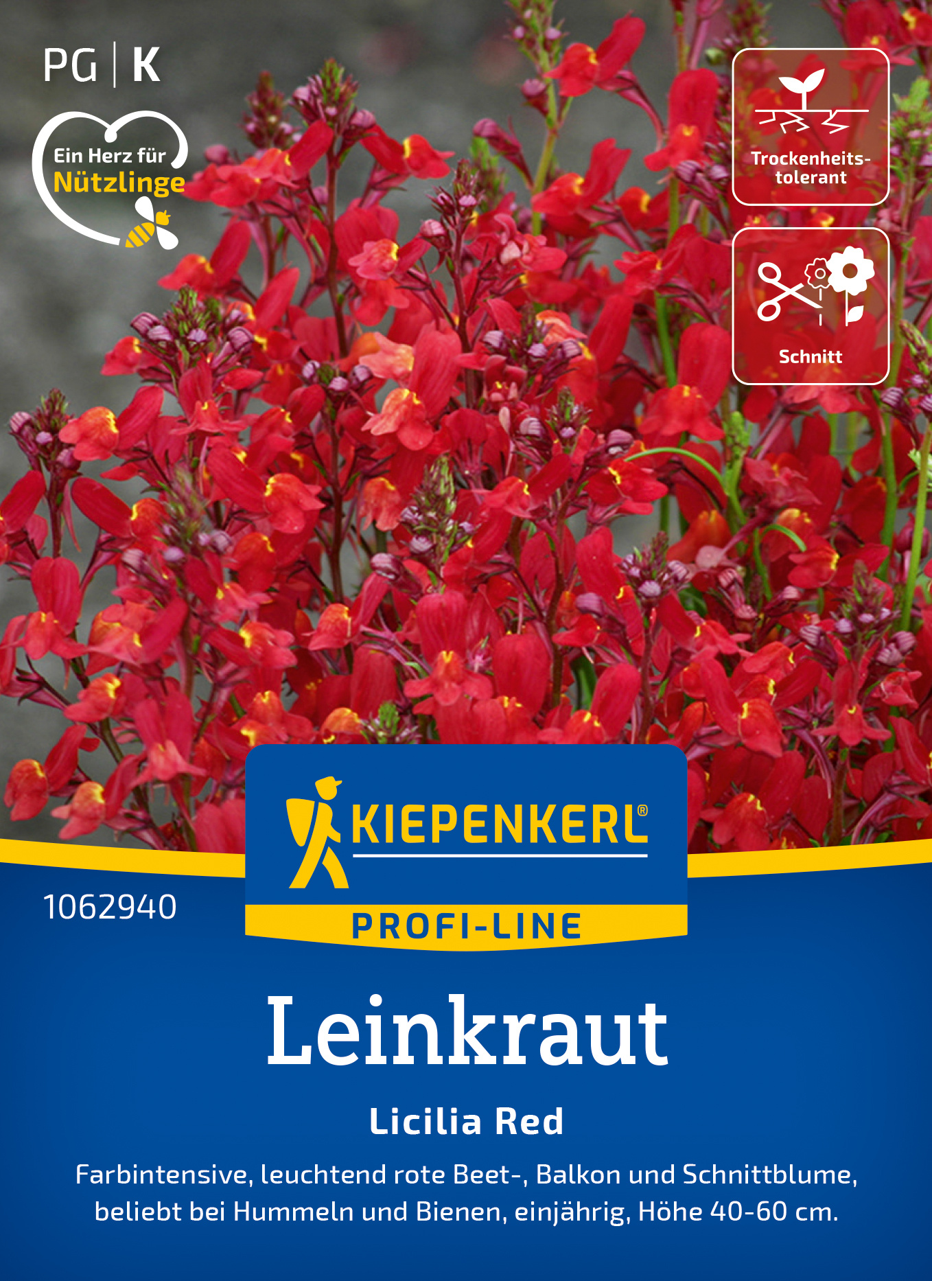 Leinkraut Licilia Red