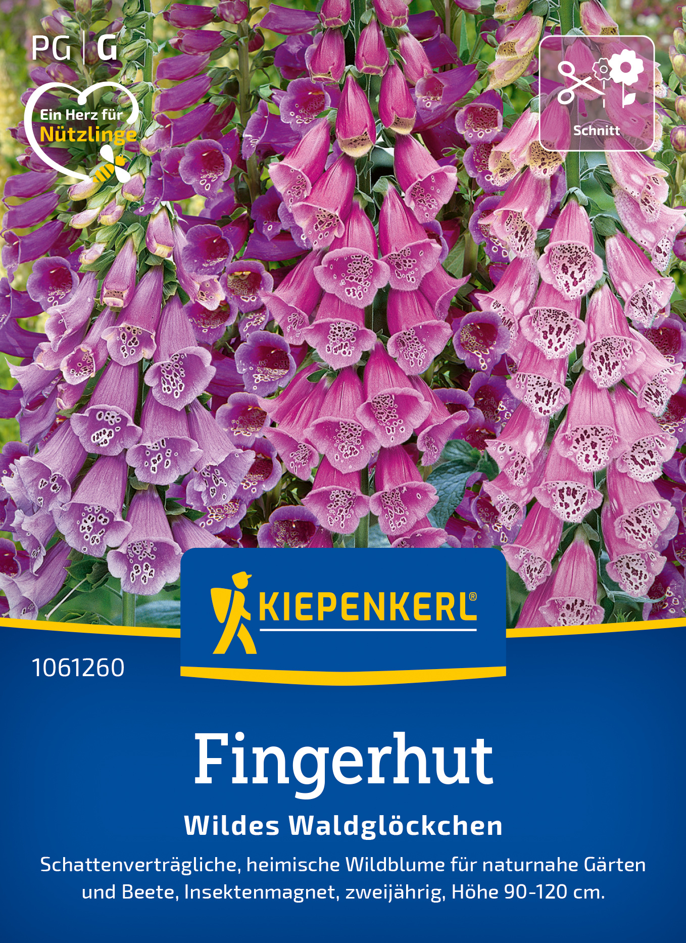 Fingerhut Wildes Waldglöckchen