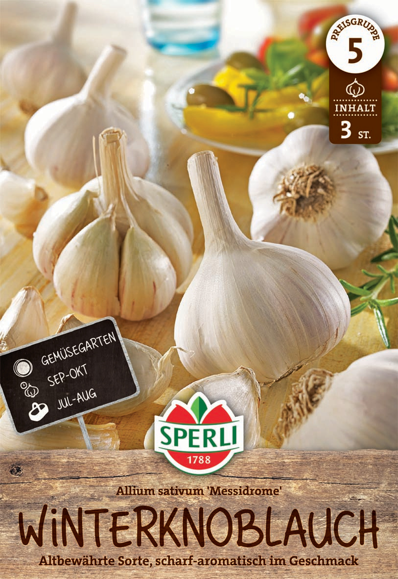 Knoblauch Messidrome