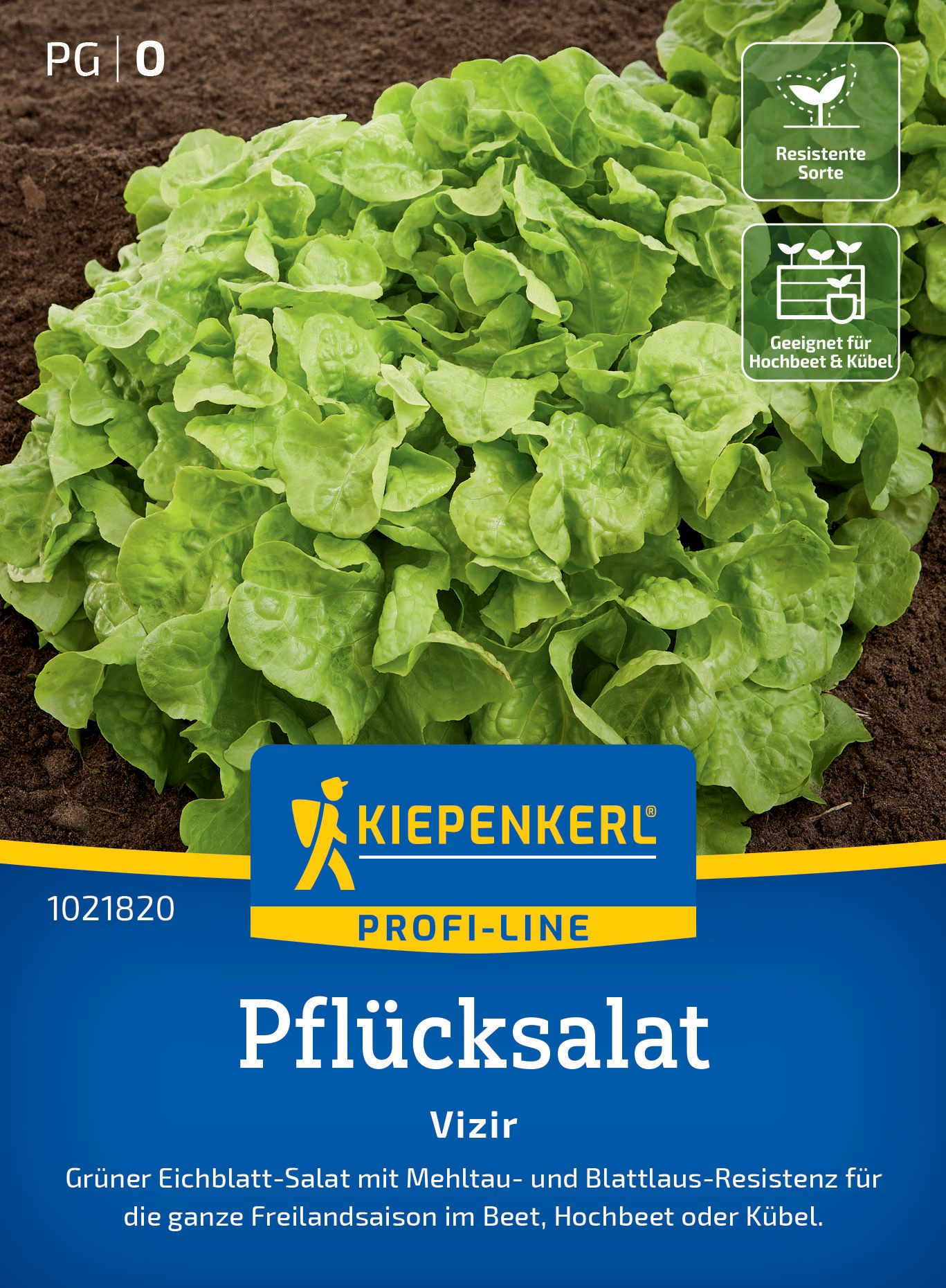 Pflücksalat Vizir Pflücksalat Vizir