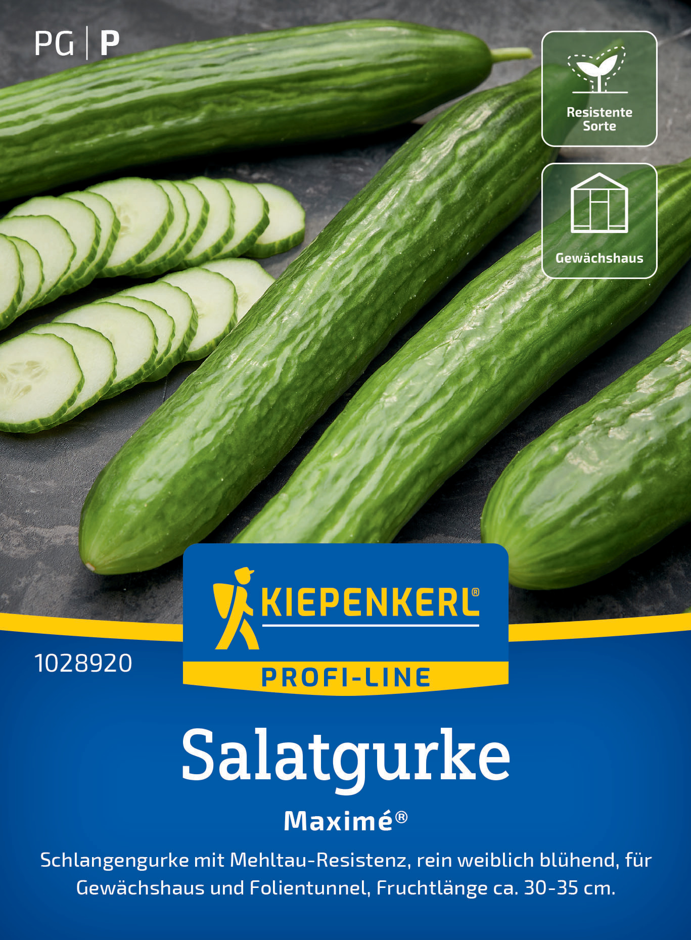 Salatgurke Maximé®, F1
