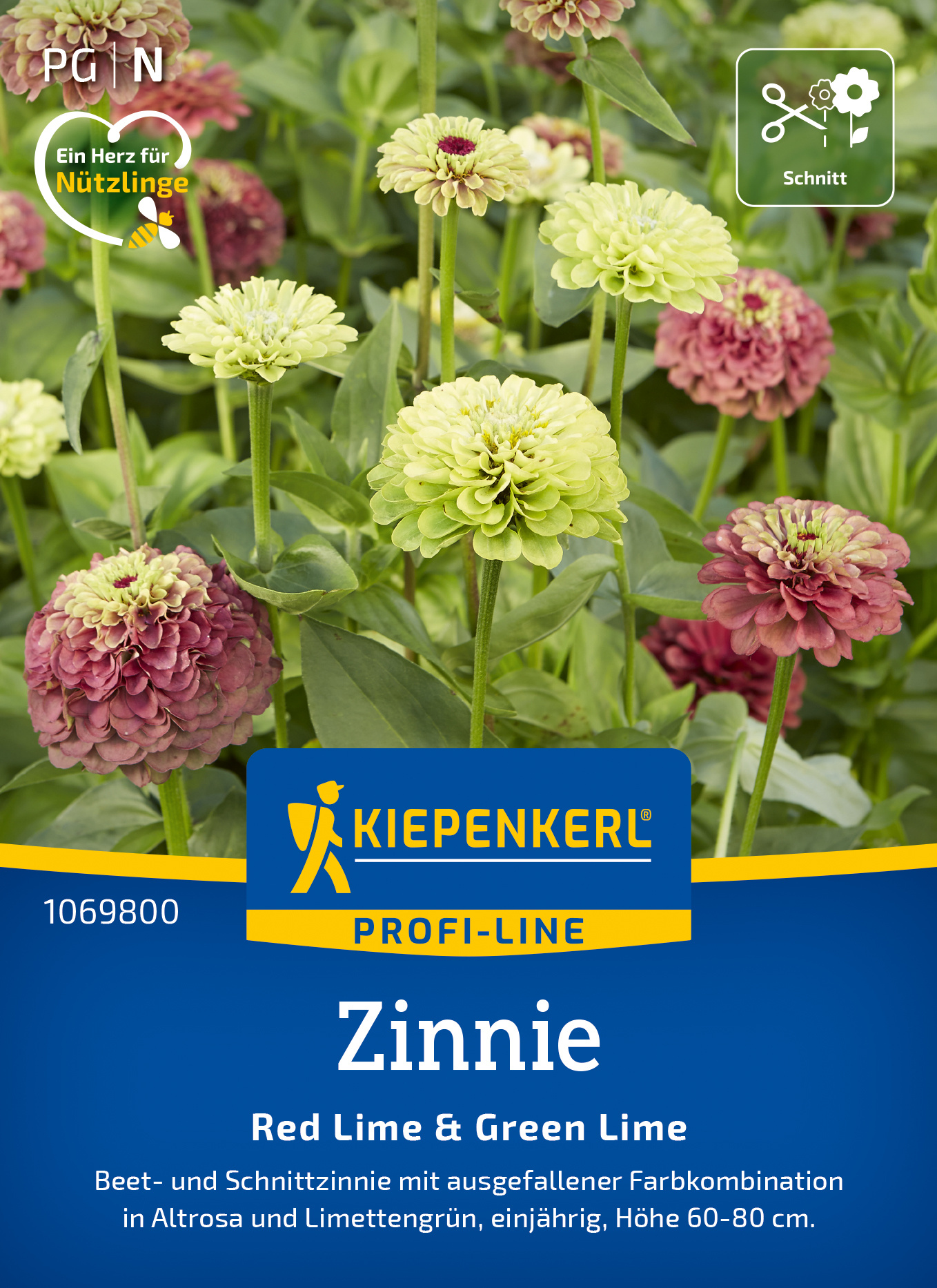 Zinnie Red Lime + Green Lime