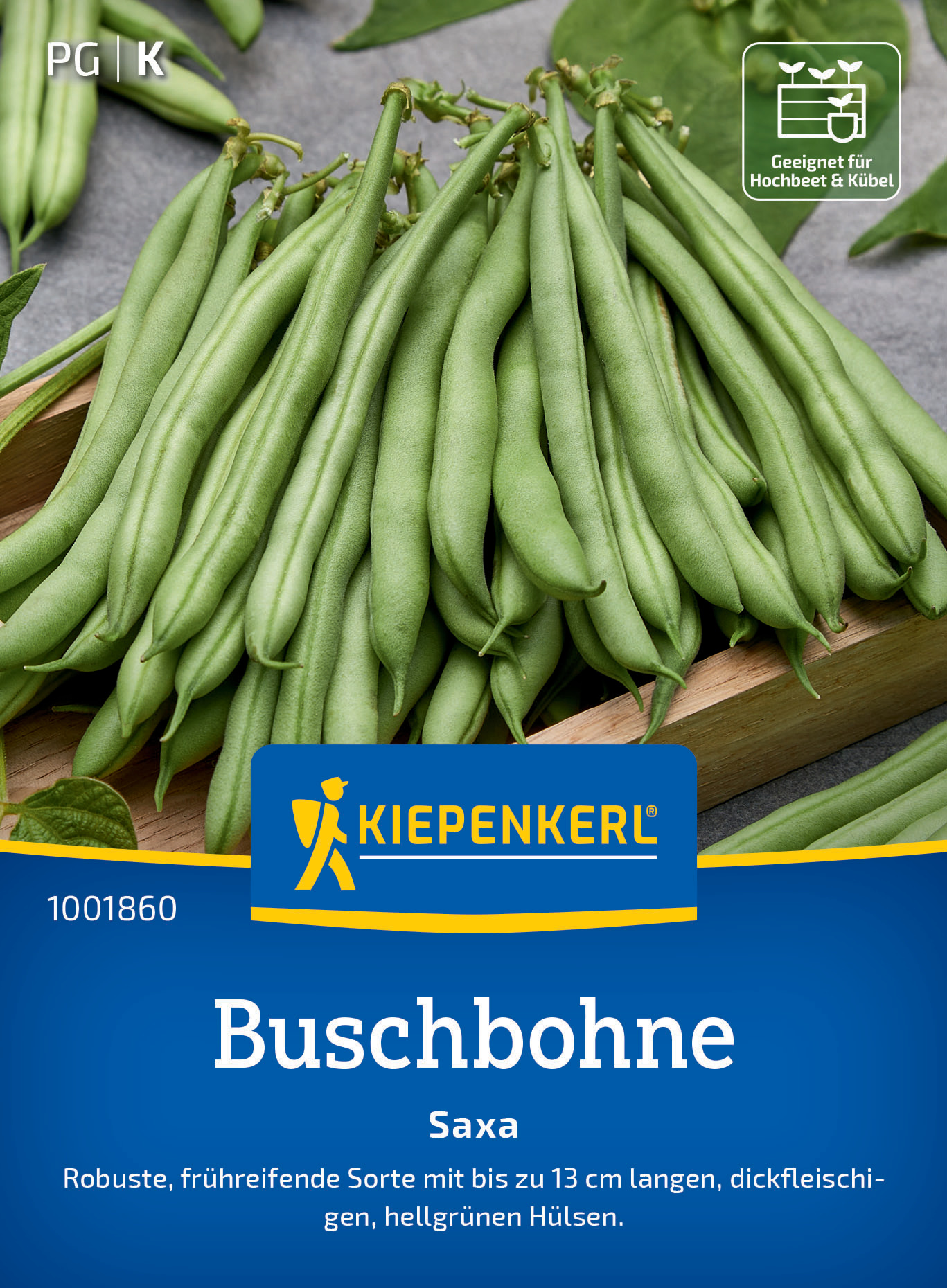 Buschbohne Saxa