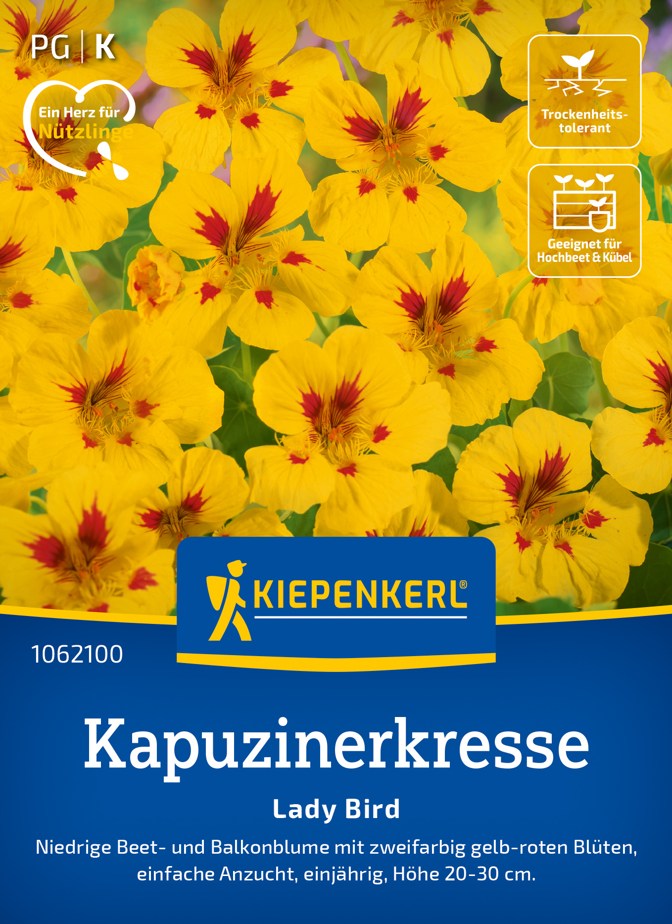 Kapuzinerkresse Lady Bird Kapuzinerkresse Lady Bird