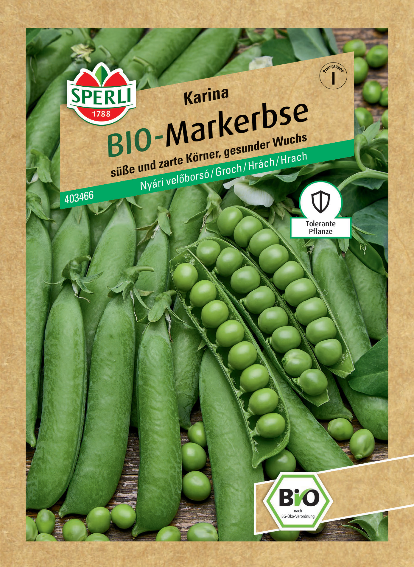 BIO Sommermarkerbse Karina BIO Sommermarkerbse Karina