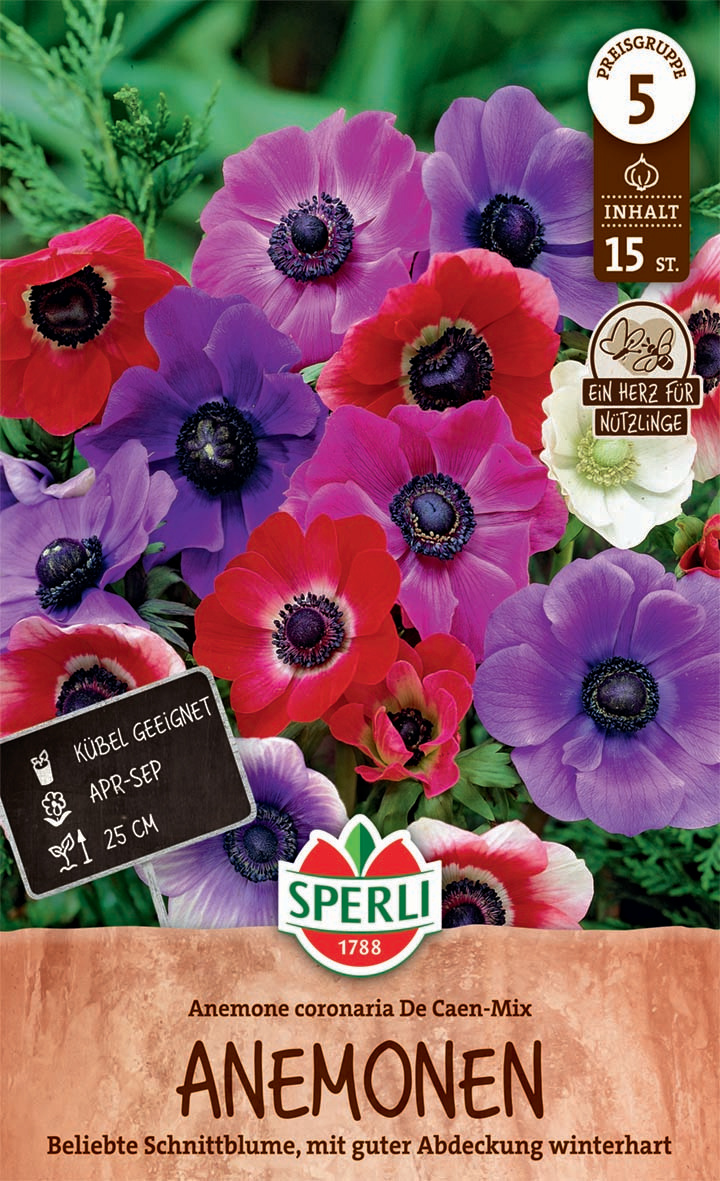 Anemone De Caen Mischung