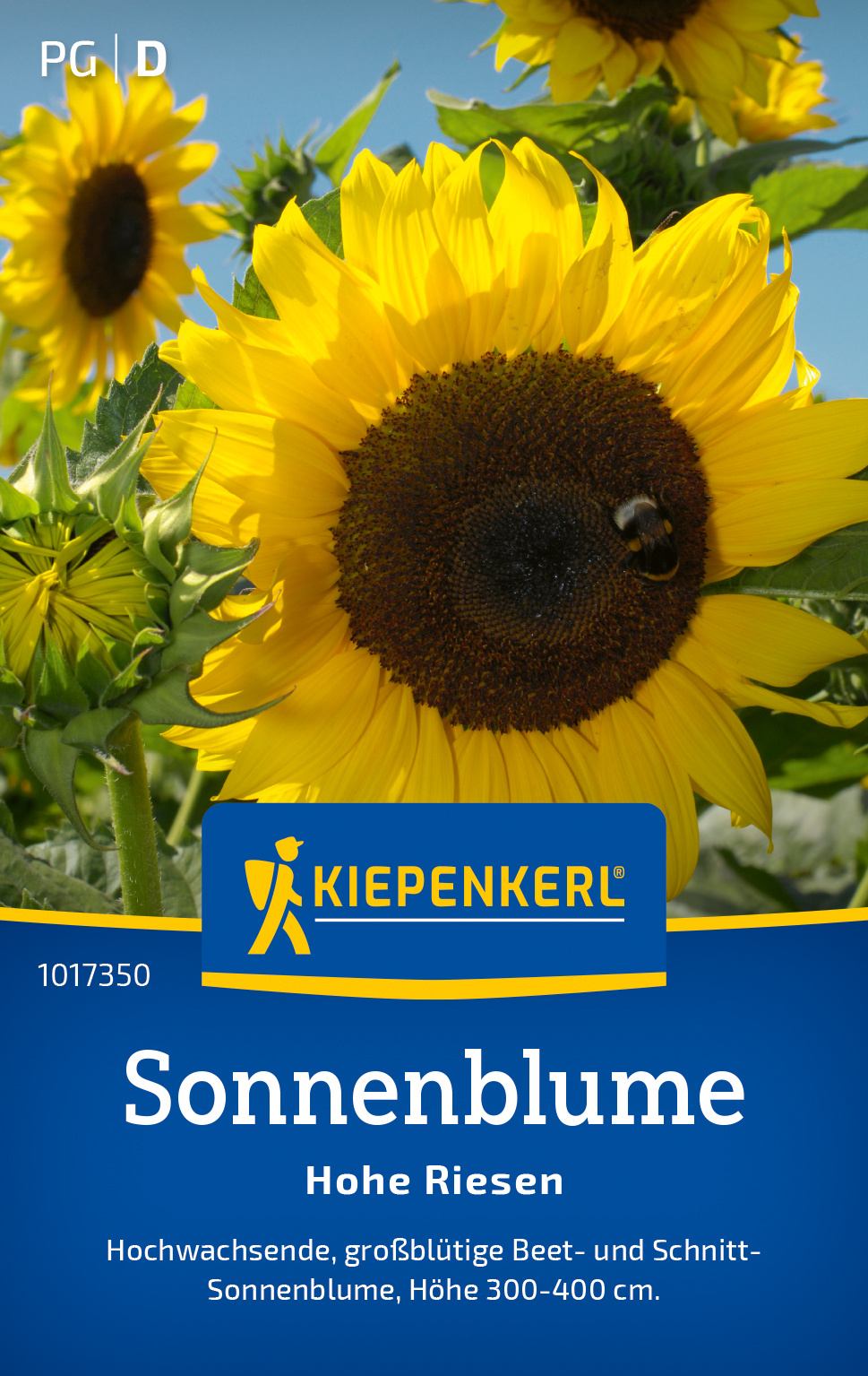 Sonnenblume Hohe Riesen
