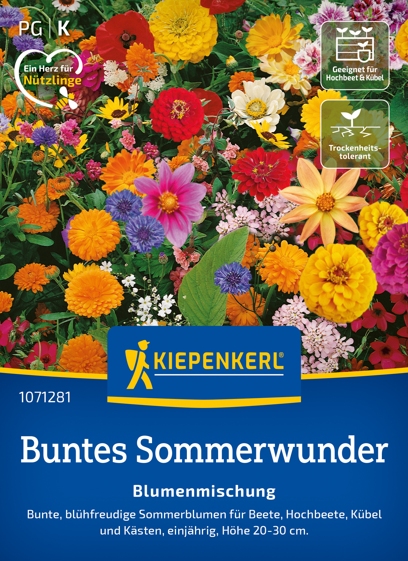 Blumenmischung Buntes Sommerwunder Blumenmischung Buntes Sommerwunder