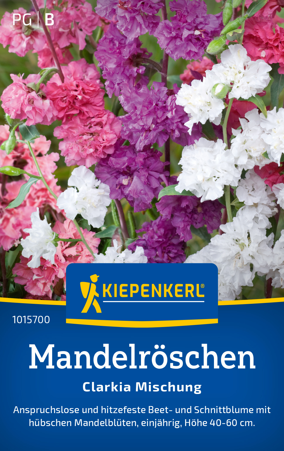 Mandelröschen Clarkia Mischung