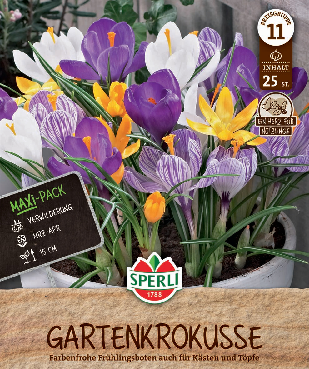 Maxi Gartenkrokus Mix