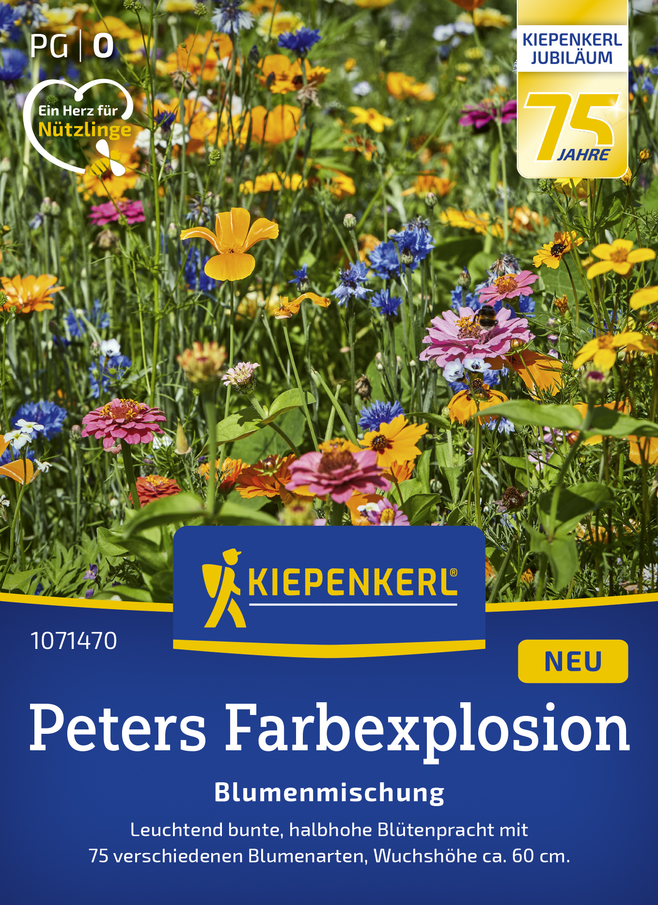 Blumenmischung Peters Farbexplosion