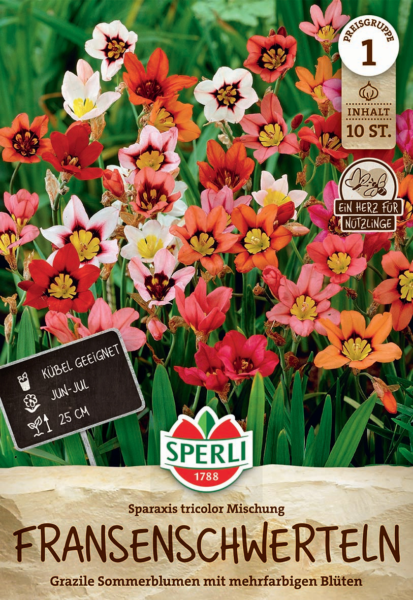 Fransenschwertel Mischung