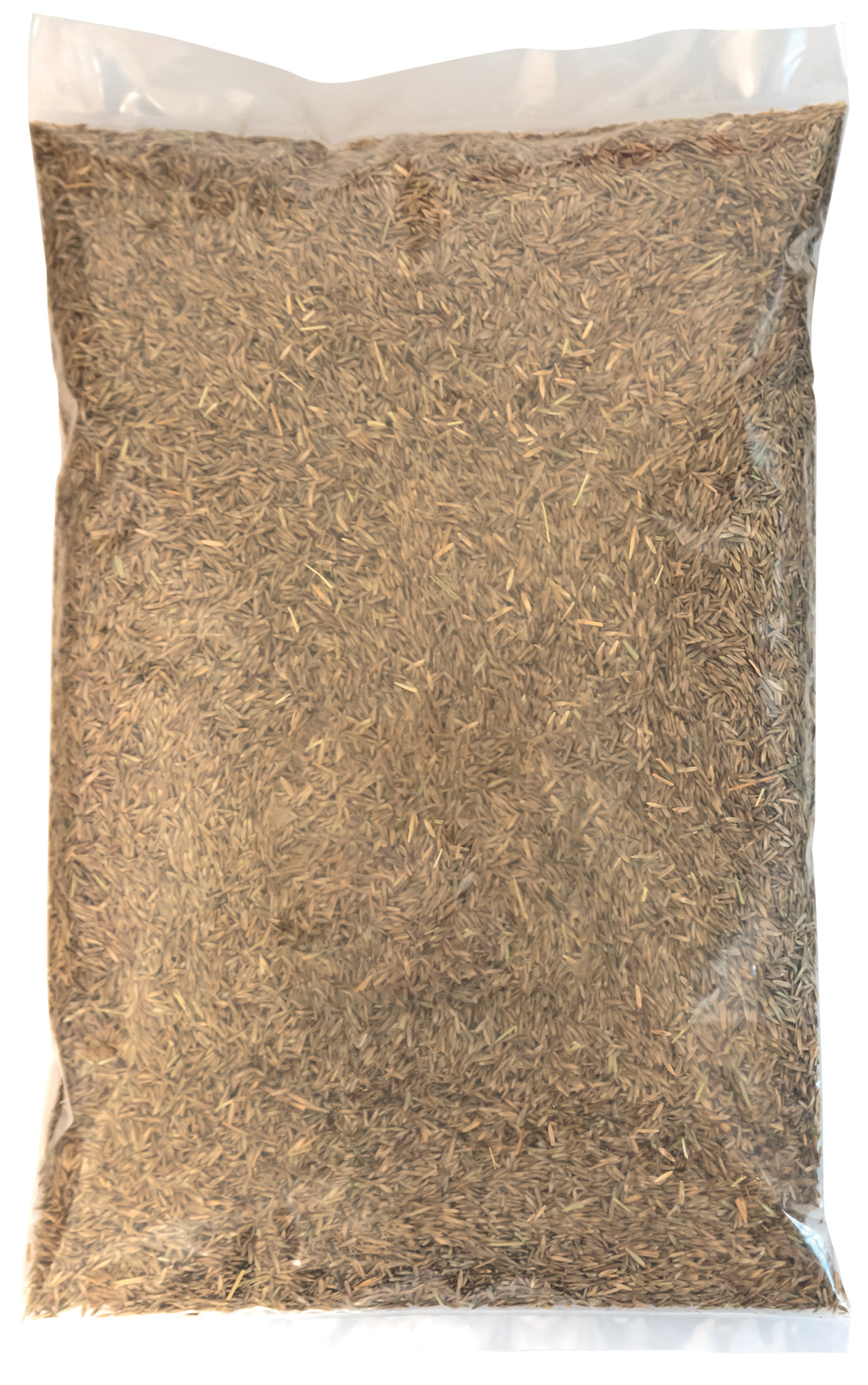 Rotes Straußgras Jorvik Rotes Straußgras Jorvik