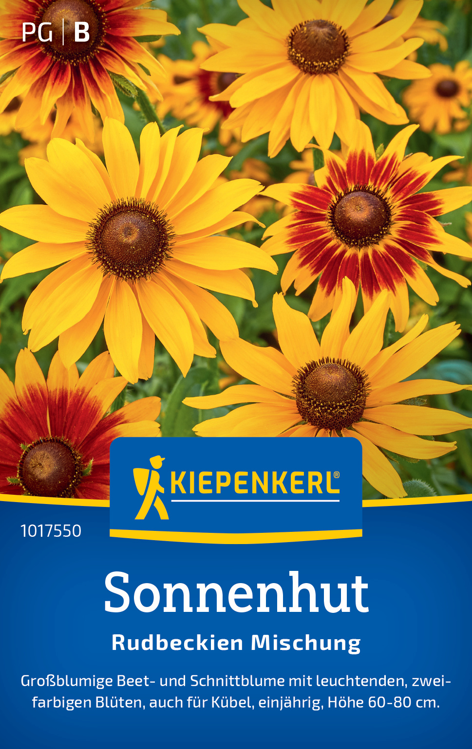 Sonnenhut Rudbeckien Mischung