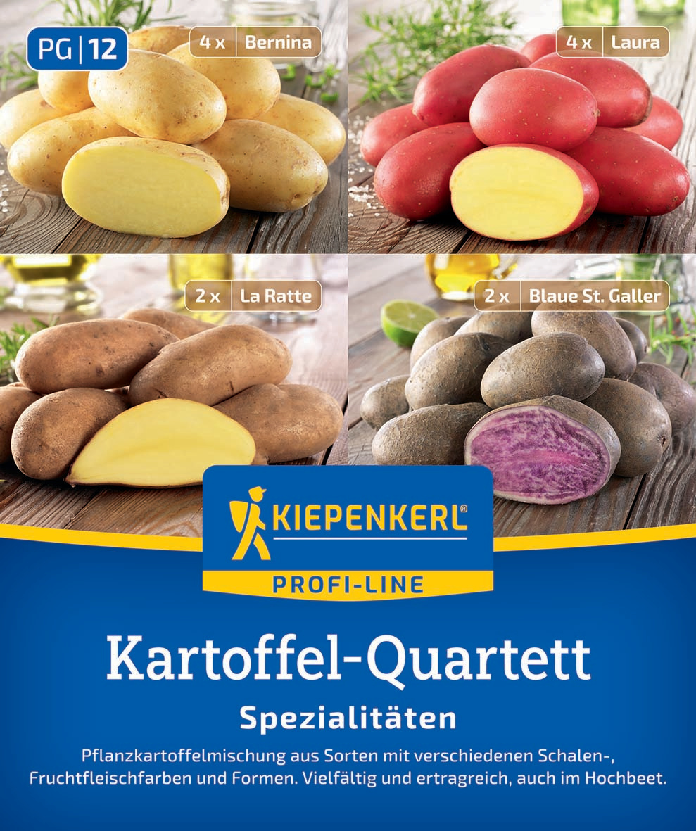 Pflanzkartoffel Quartett Mischungstüte Spezialitäten, 12 St Pflanzkartoffel Quartett Mischungstüte Spezialitäten, 12 St