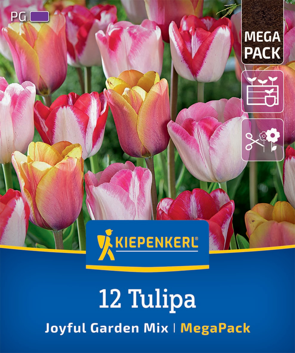 Mega Pack Joyful Garden
