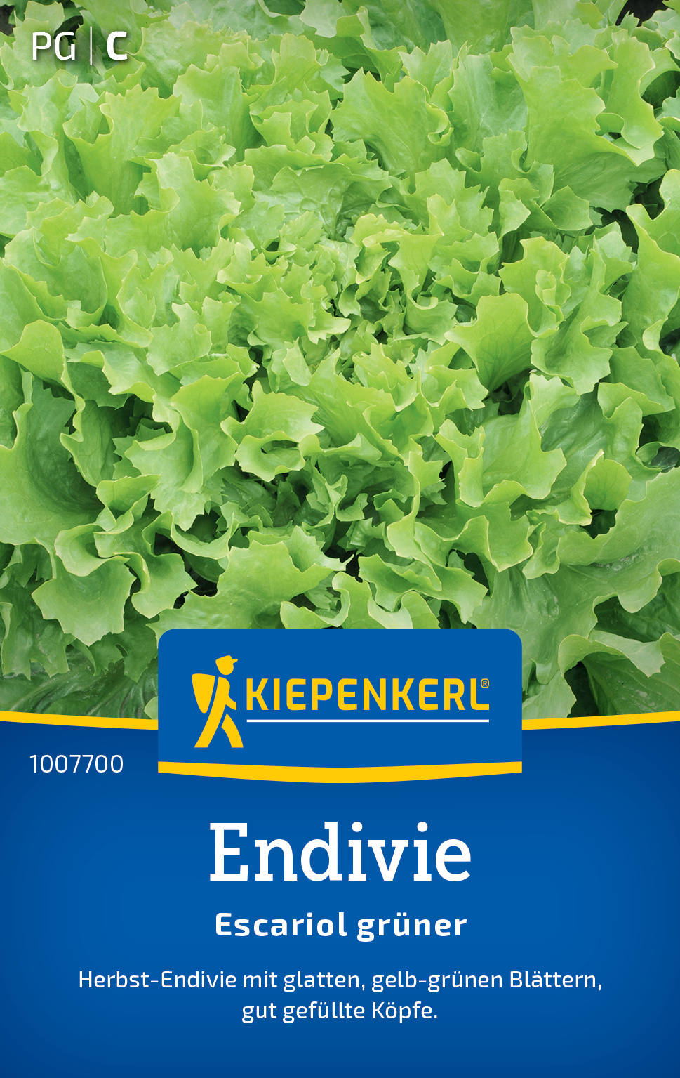 Endivie Escariol grüner