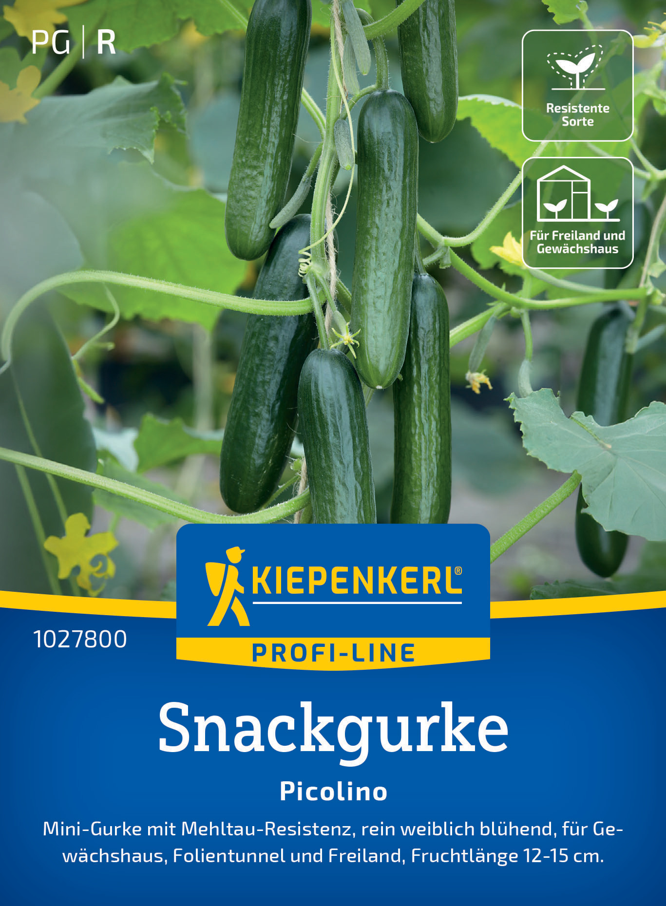 Snackgurke Picolino, F1