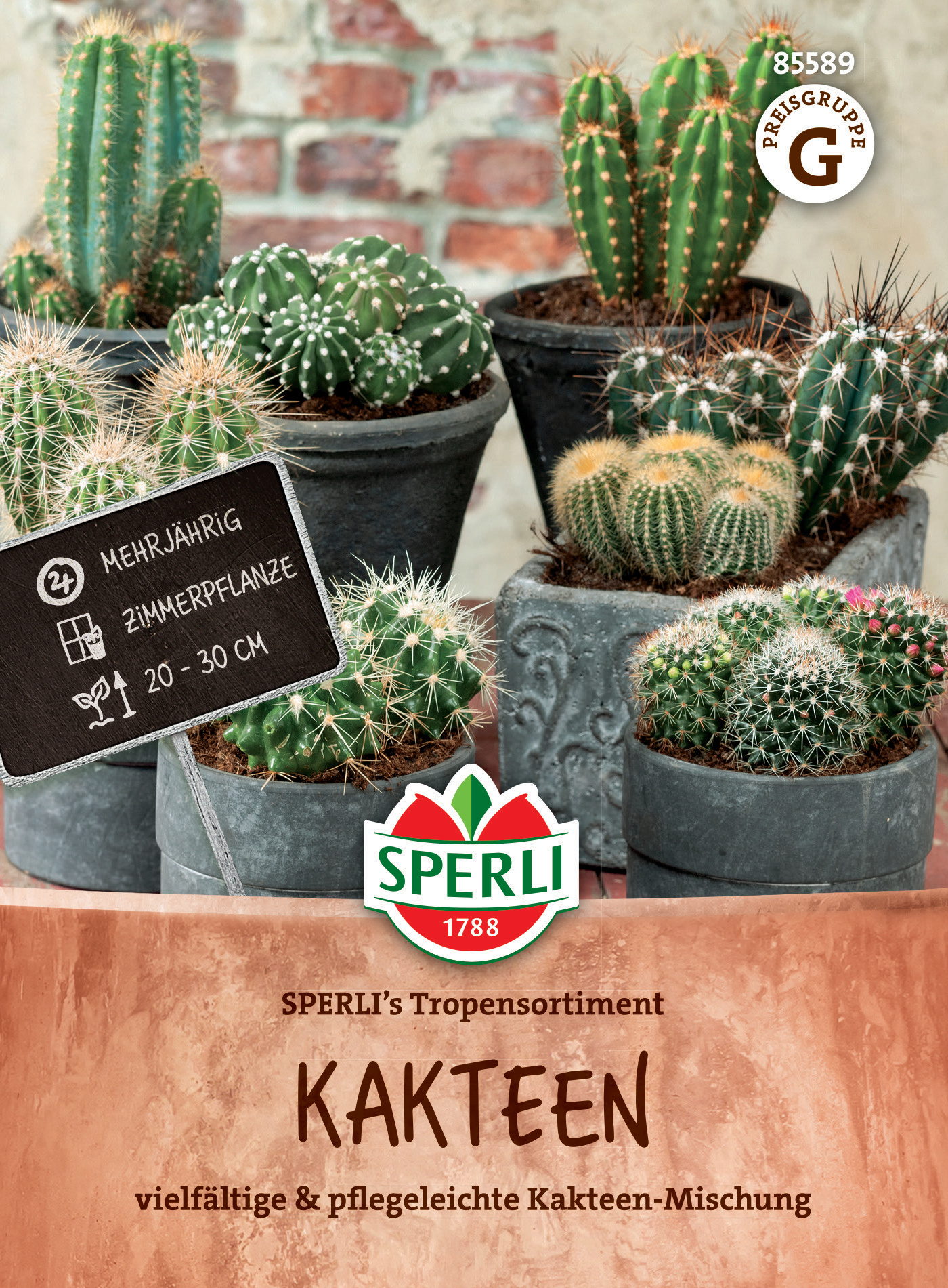Kakteen SPERLI's Tropensortiment Kakteen SPERLI's Tropensortiment