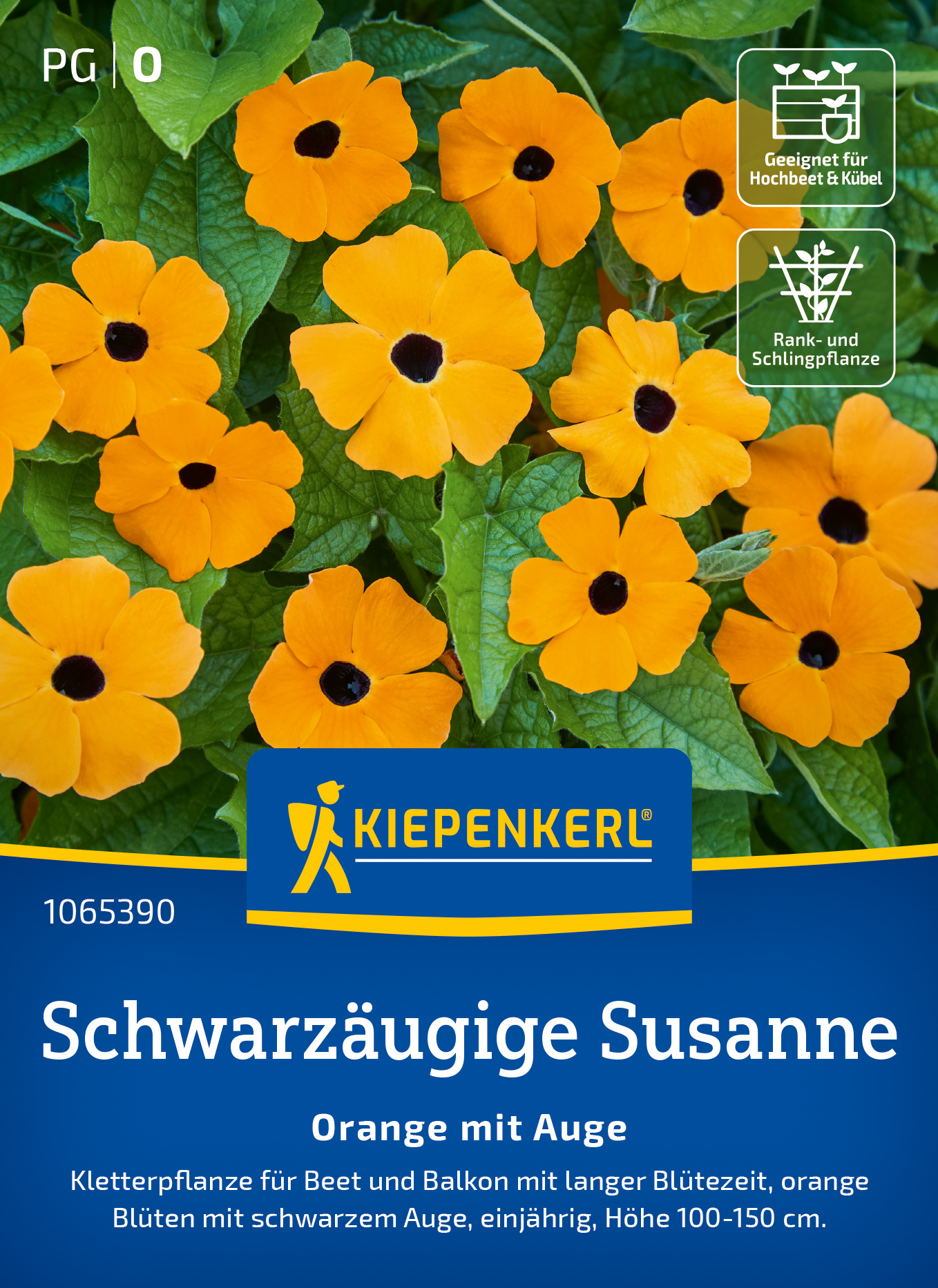 Schwarzäugige Susanne Orange mit Auge