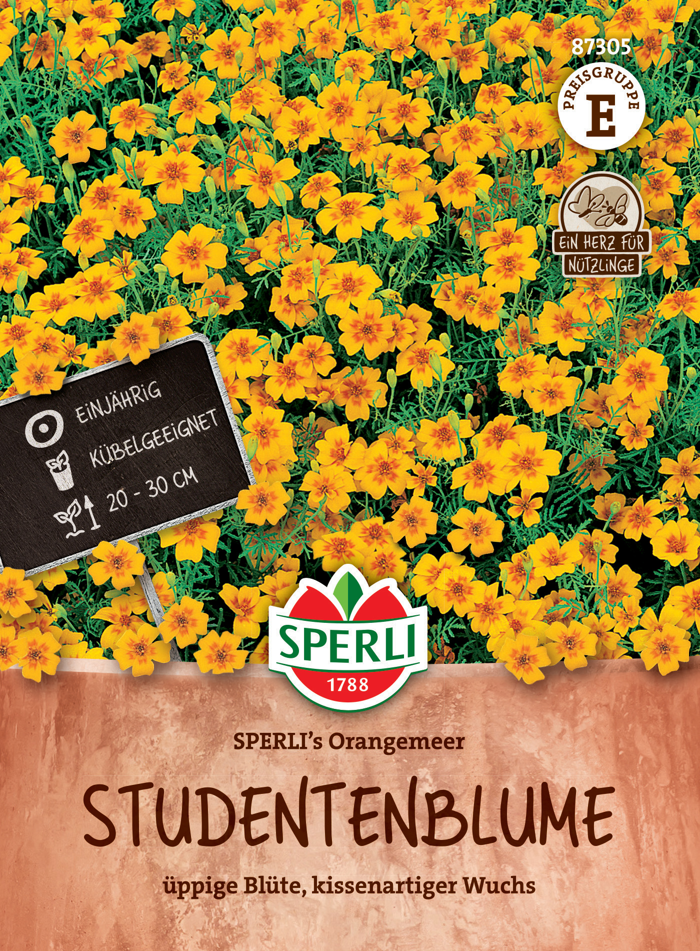 Studentenblume SPERLI's Orangemeer Studentenblume SPERLI's Orangemeer