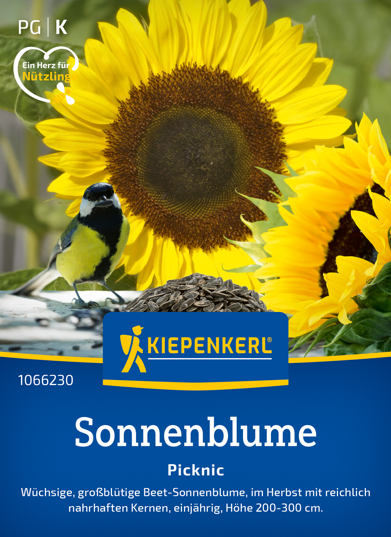 Sonnenblume Picknic Sonnenblume Picknic