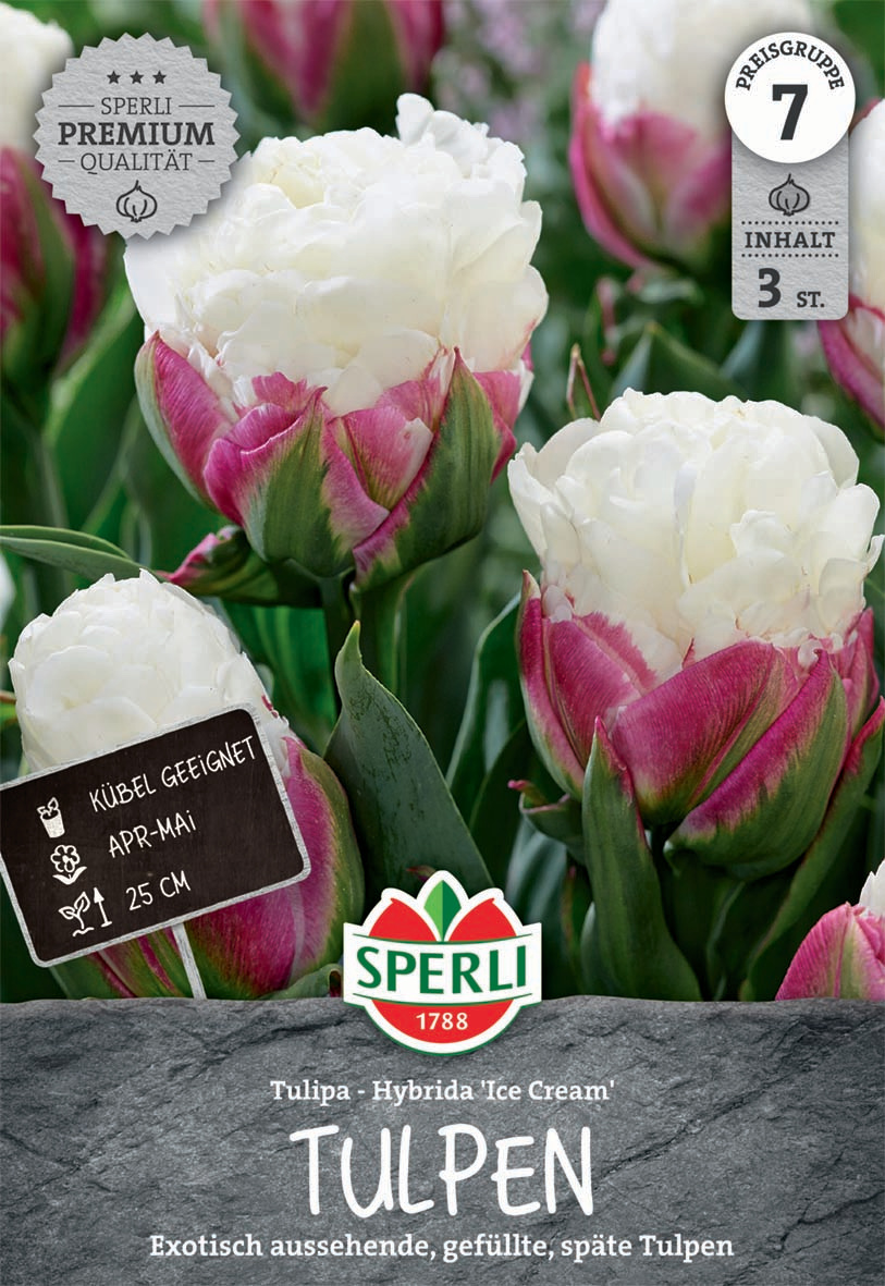 Premium Gefüllte Späte Tulpe Ice Cream