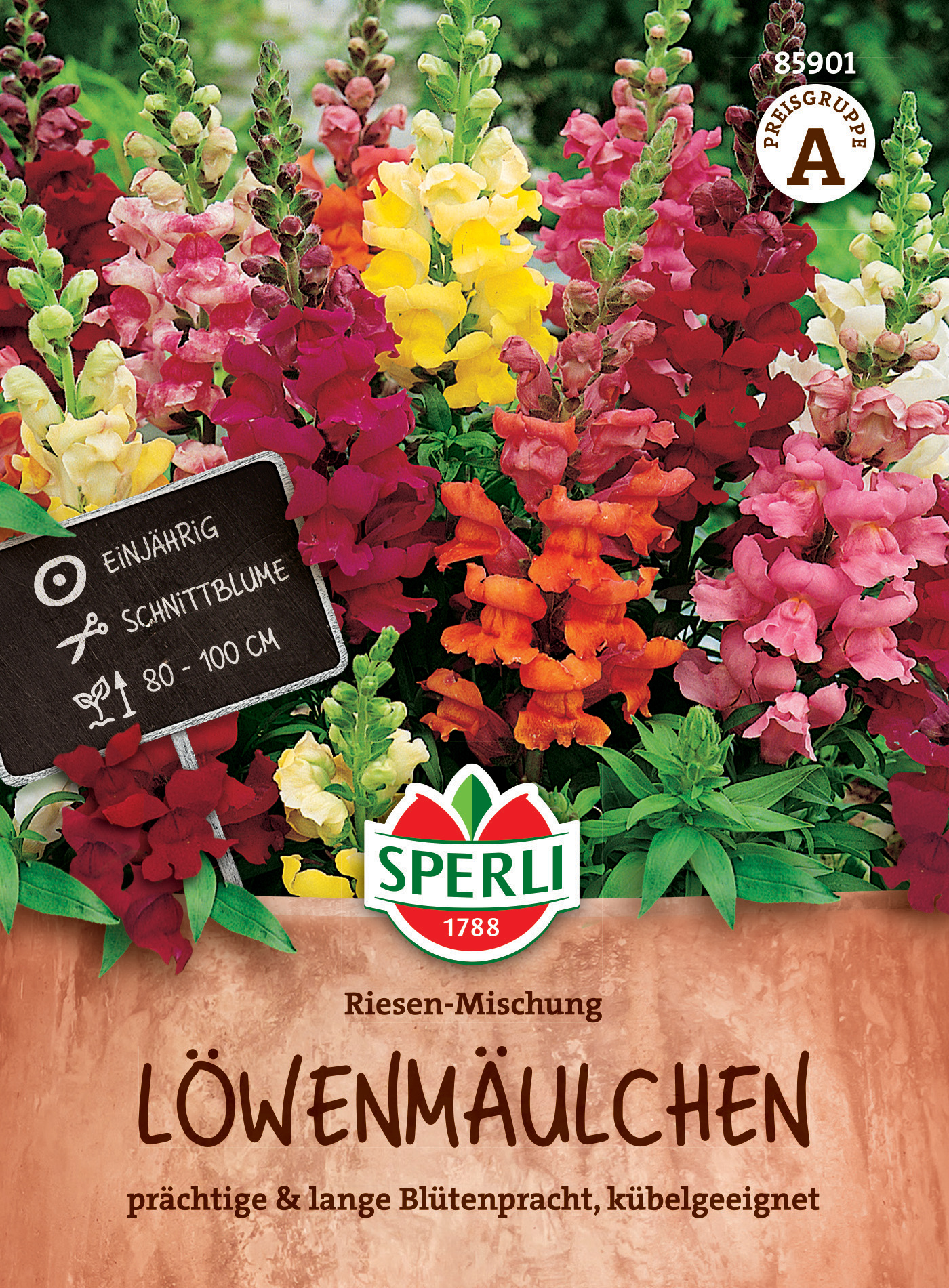 Löwenmäulchen Riesen Mischung Löwenmäulchen Riesen Mischung