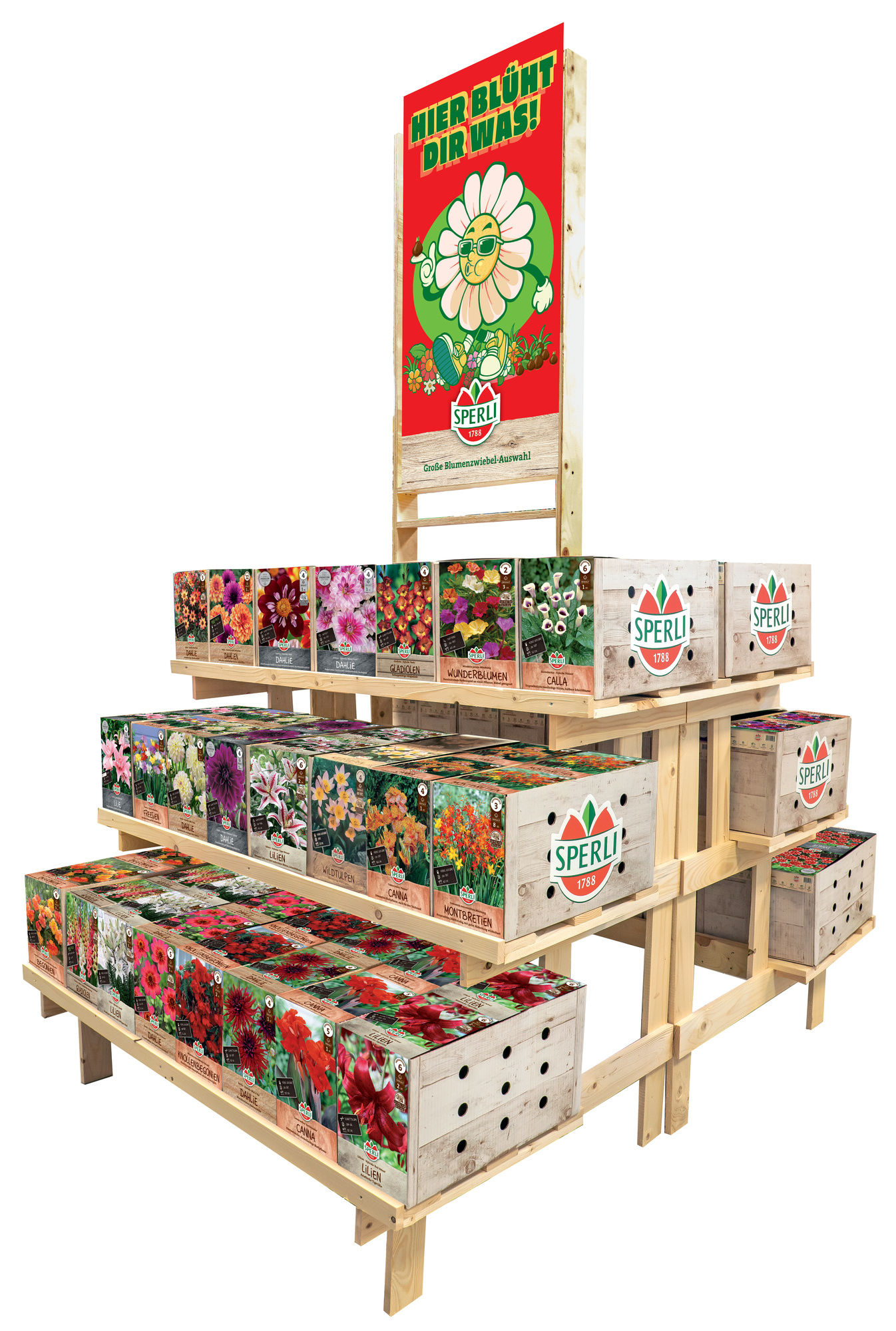 Sperli-Kom.-Konzept Frühjahr - Topper hochkant Dahlien-Blüte - Größe 50x90cm