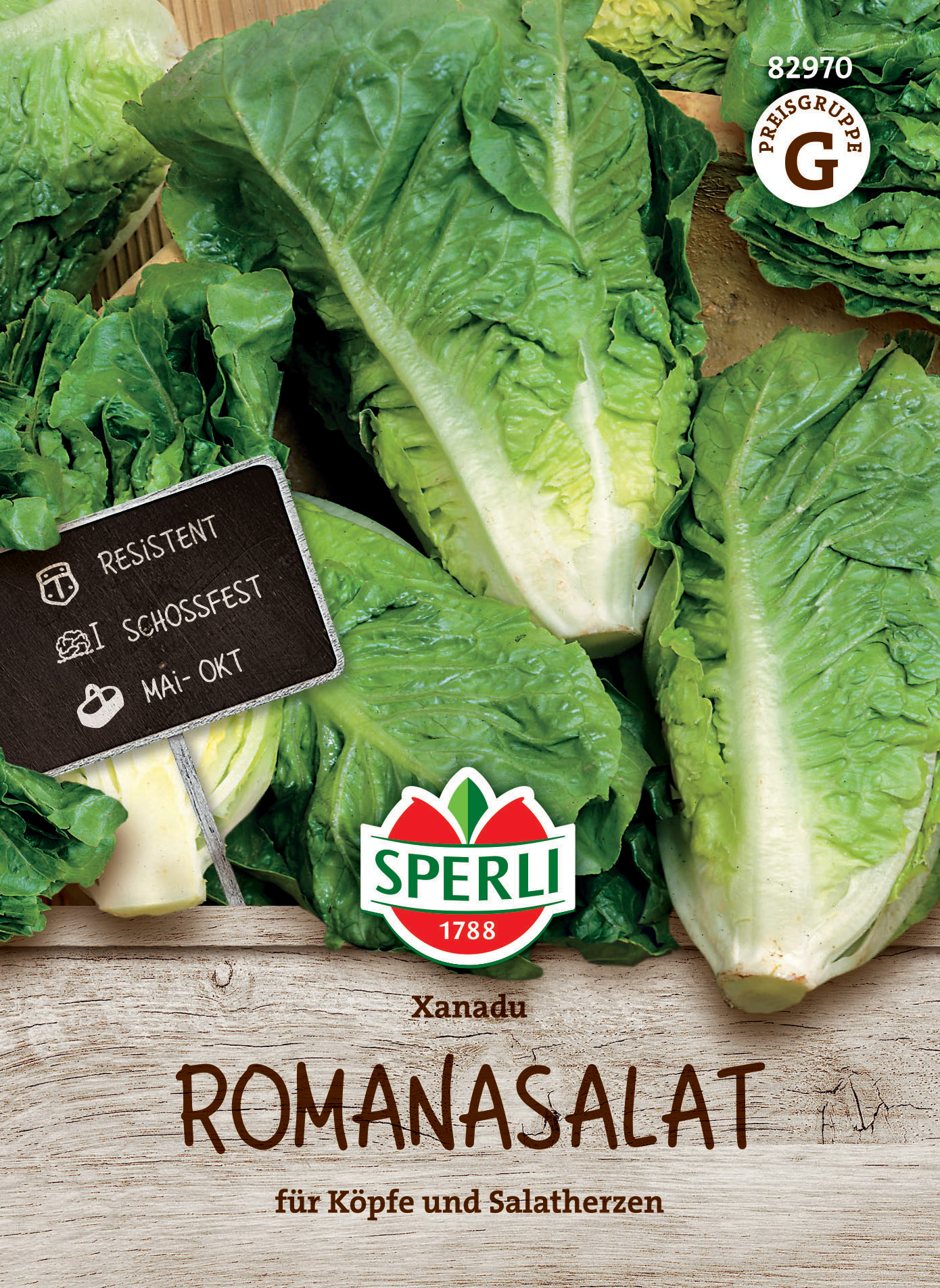 Romanasalat Xanadu Romanasalat Xanadu