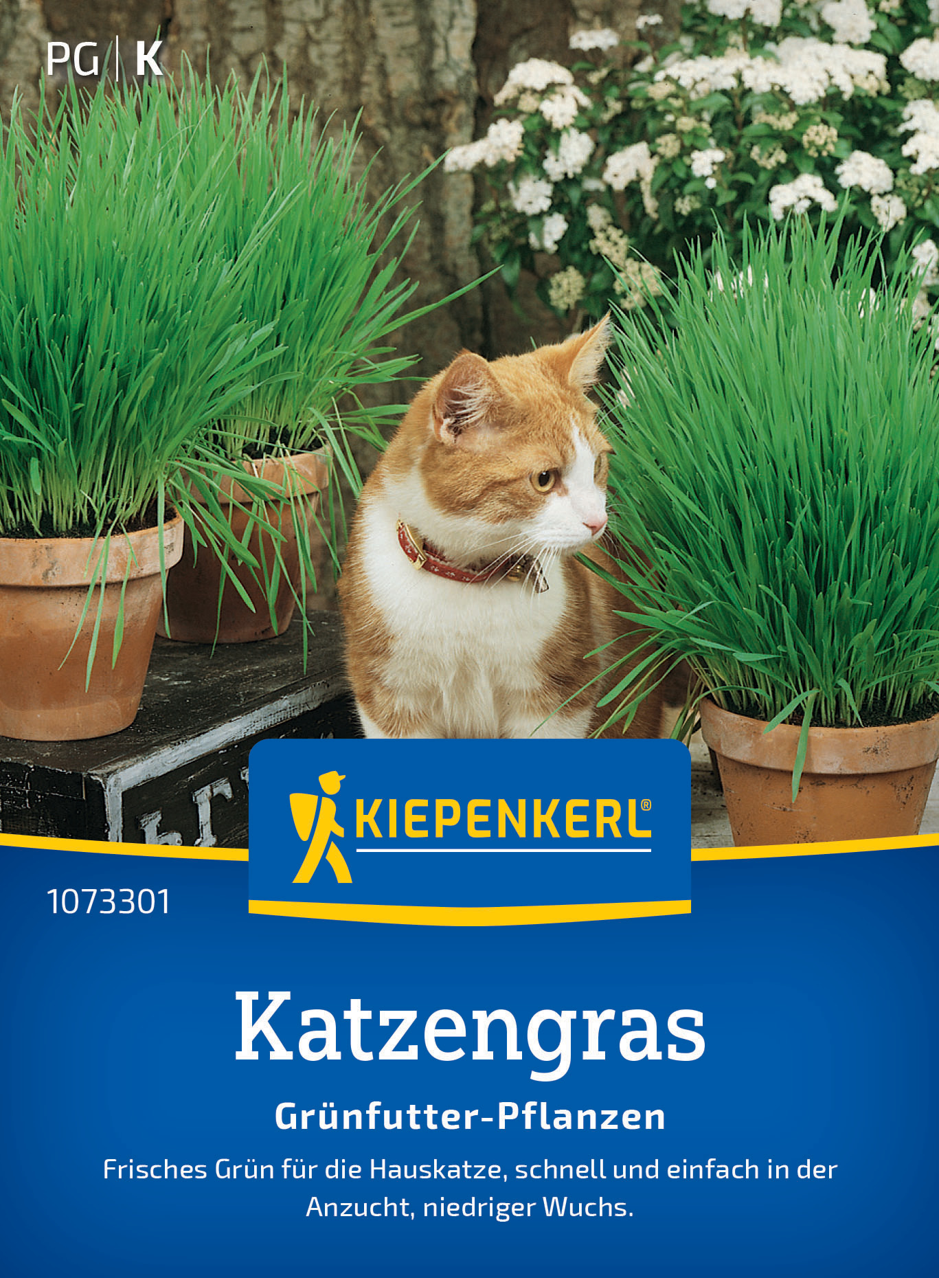 Katzengras Frischgrün Mischung