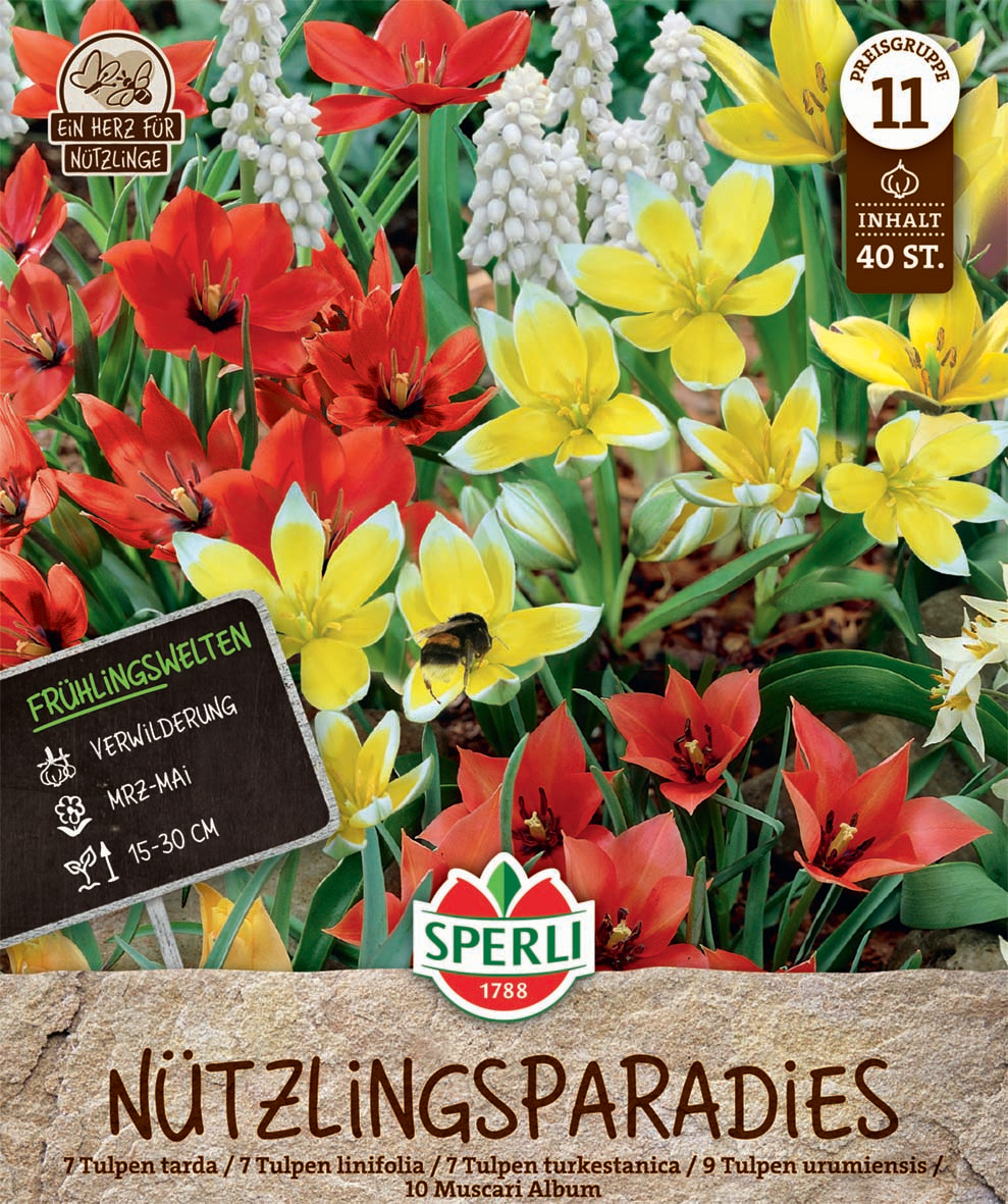 Frühlingsgarten Nützlingsparadies