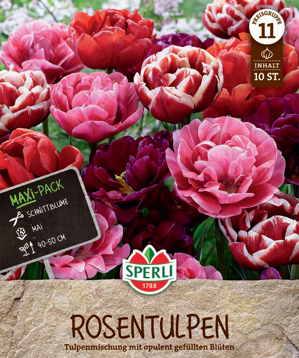 Maxi Tulpen Rosentulpen-Mischung