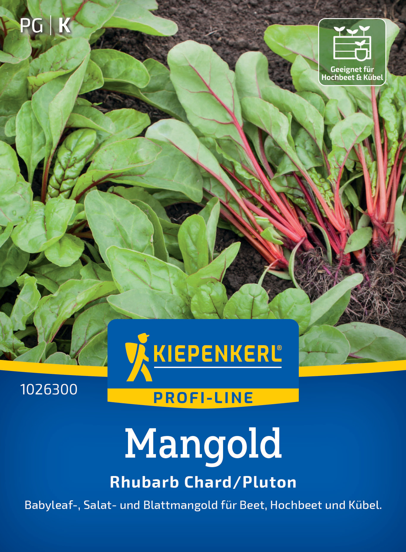 Mangold Rhubarb Chard/Pluton Mangold Rhubarb Chard/Pluton