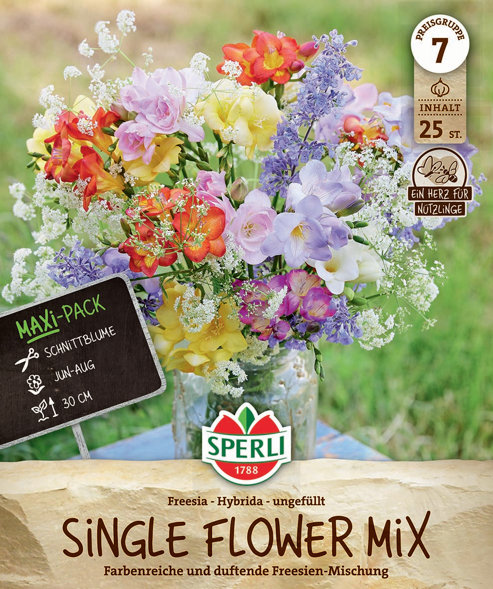 Maxi Pack Freesien Bunte Duftmischung