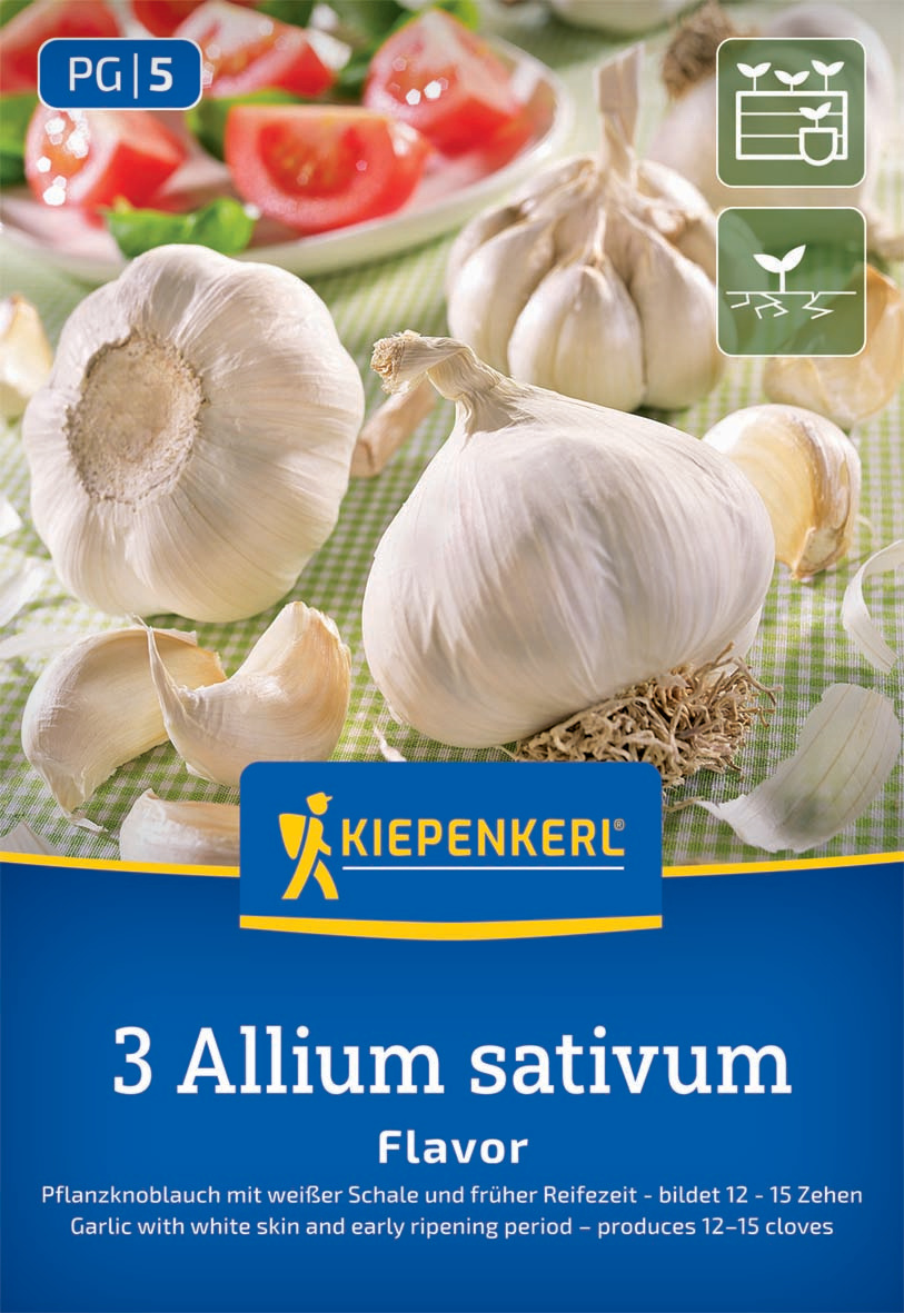 Knoblauch Flavor Knoblauch Flavor