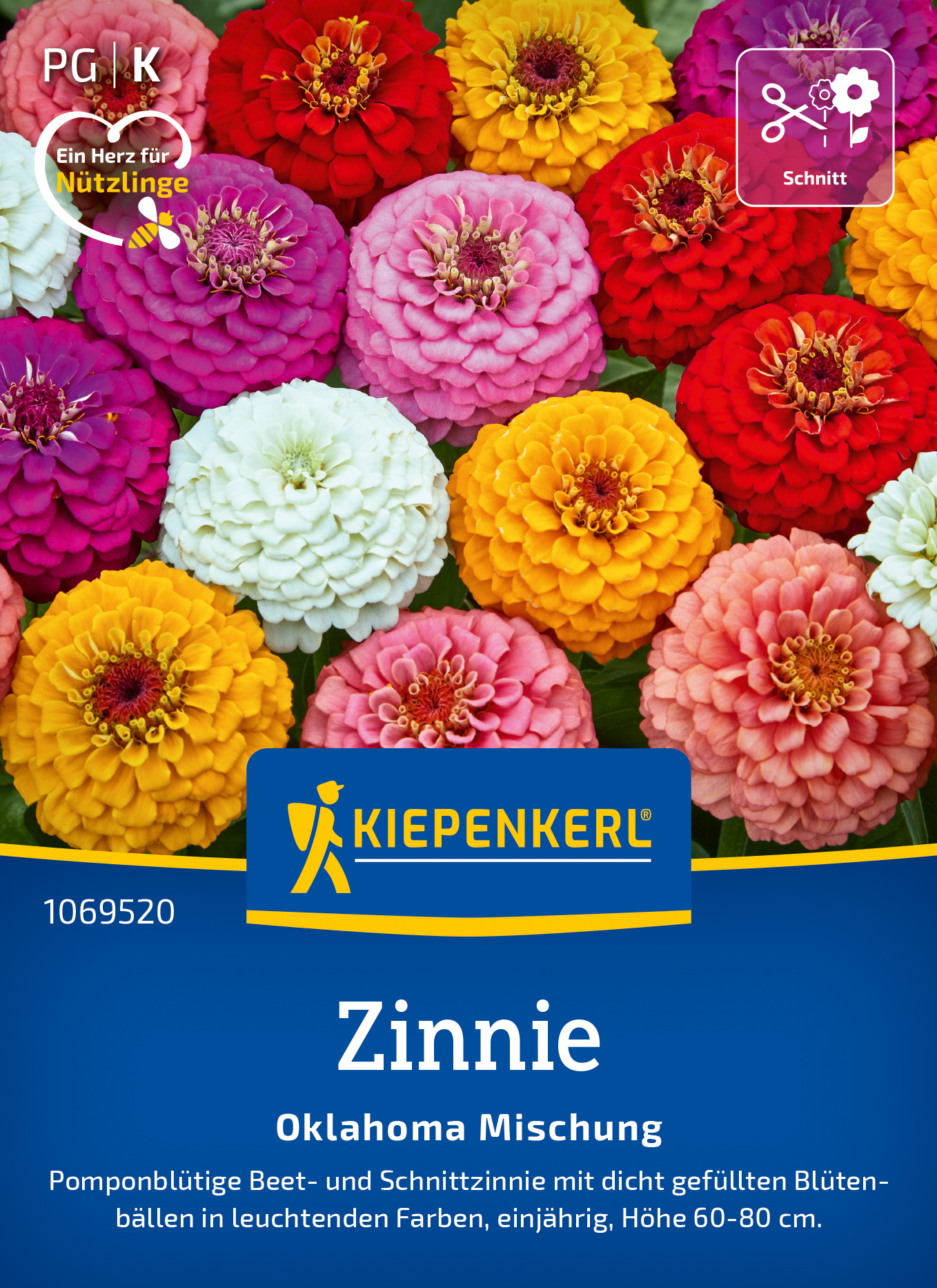 Zinnie Oklahoma Mischug Zinnie Oklahoma Mischug