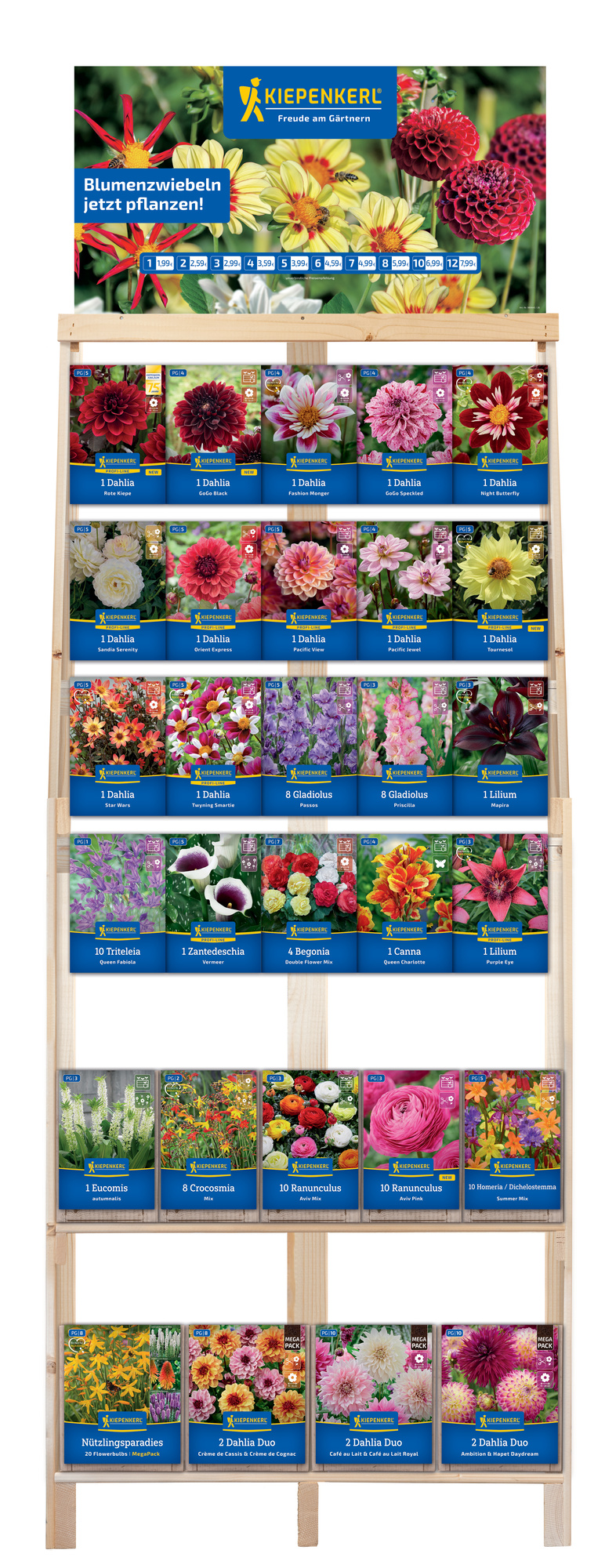 2026 - Frühjahr - Kiepenkerl-Blumenzwiebeln 'Neuheiten & Topseller' im Kombiregal