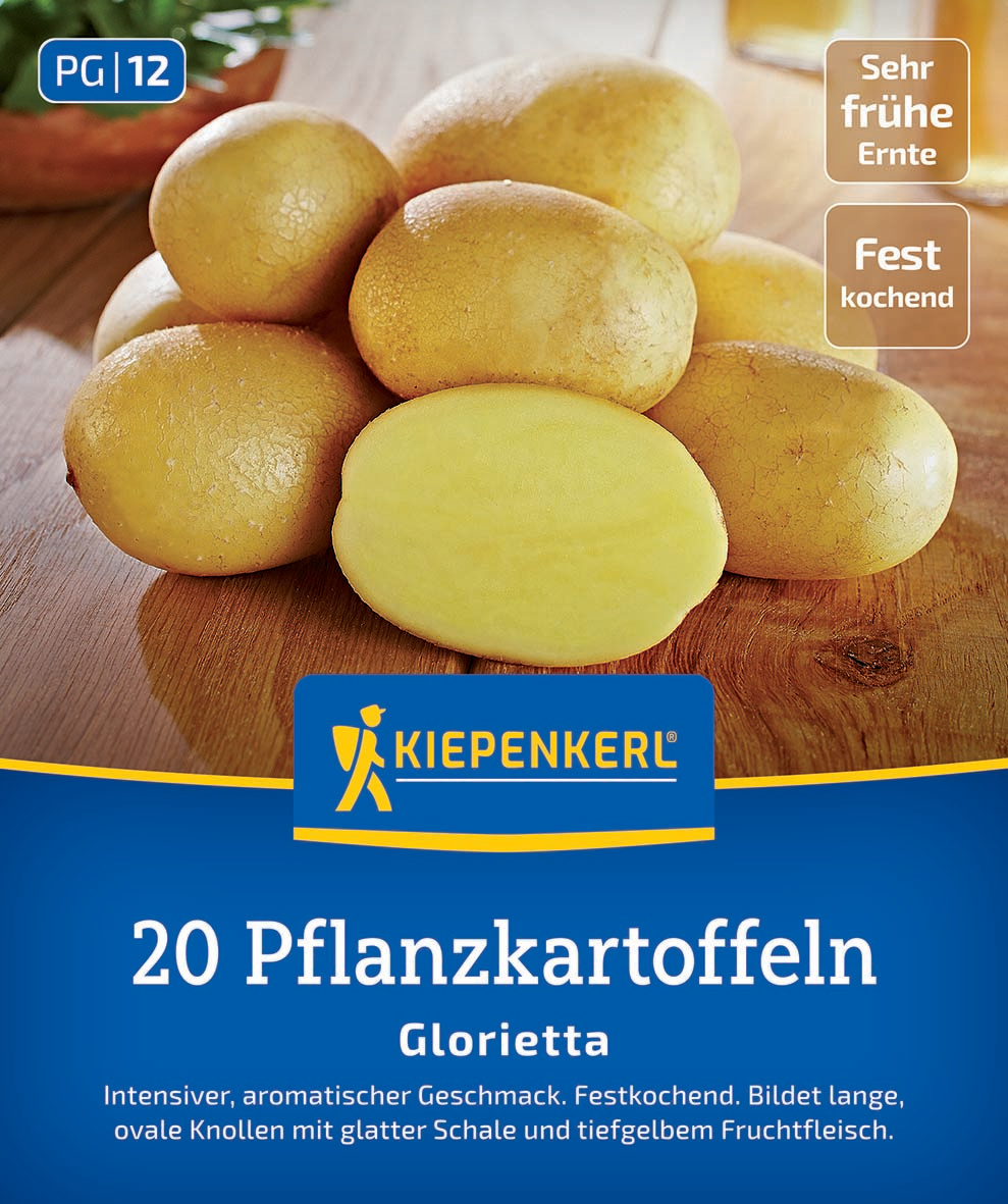 Pflanzkartoffel Glorietta, 20 St