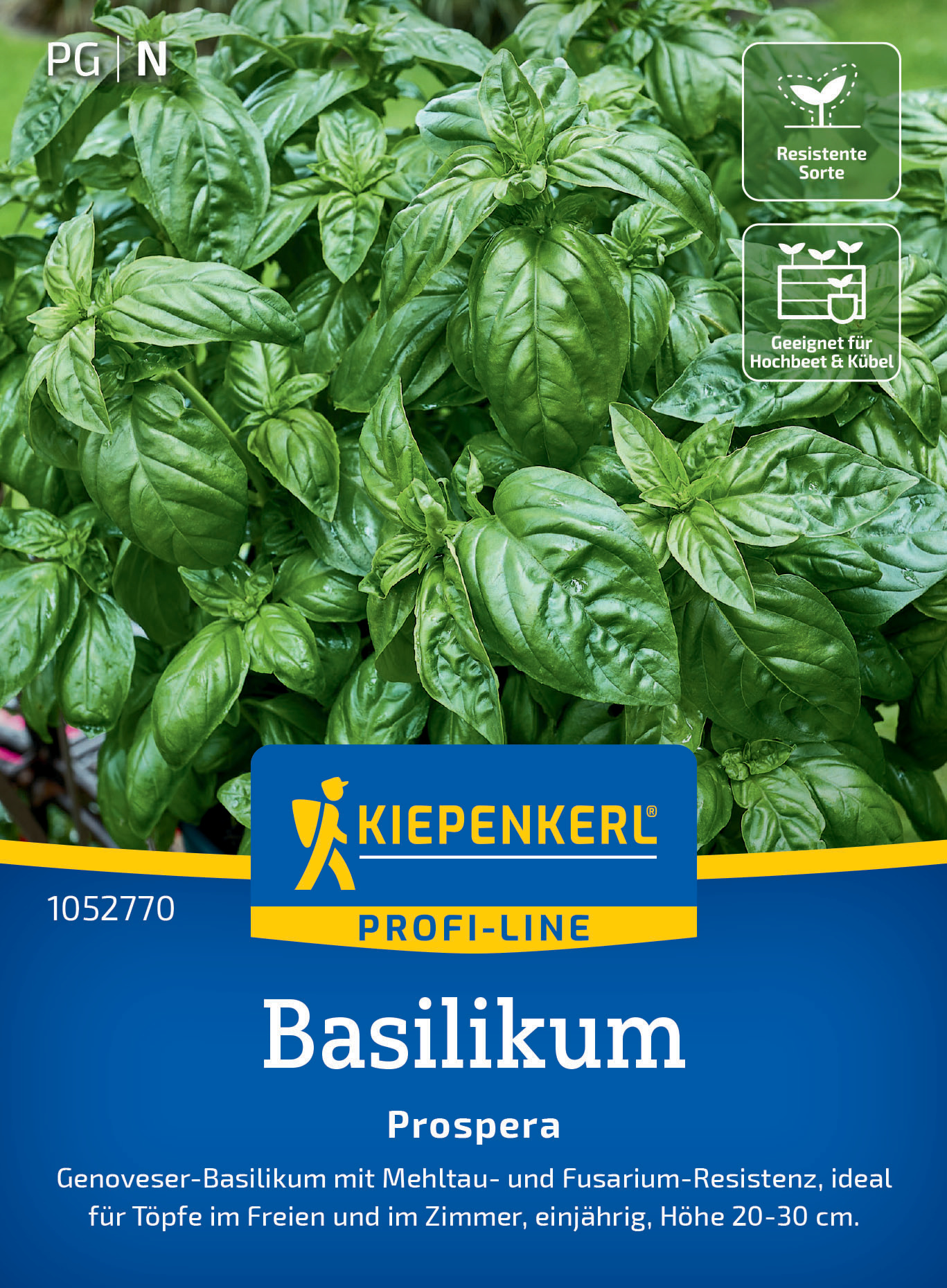 Basilikum Prospera , F1