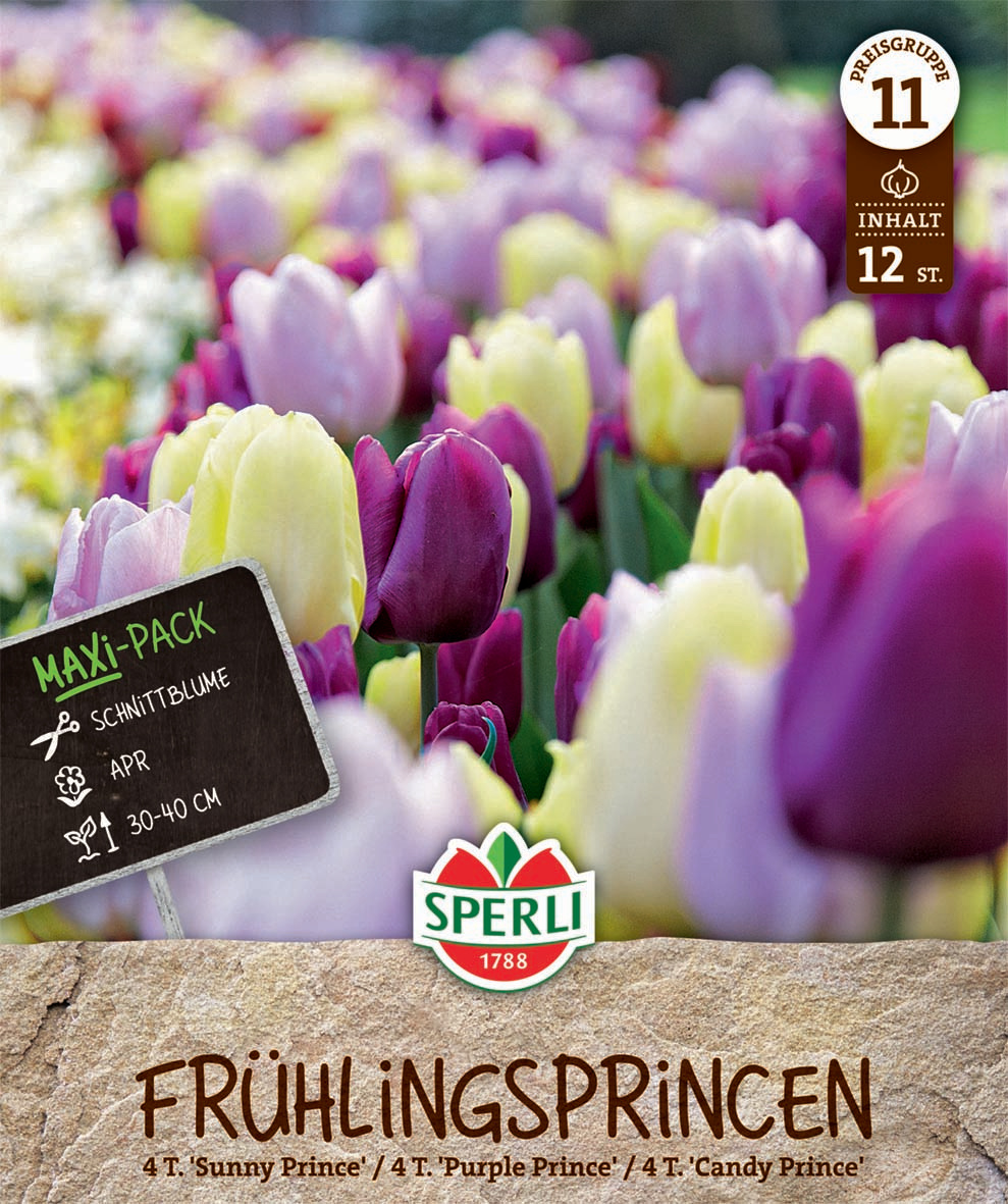 Frühlingsgarten Frühlings-Princen