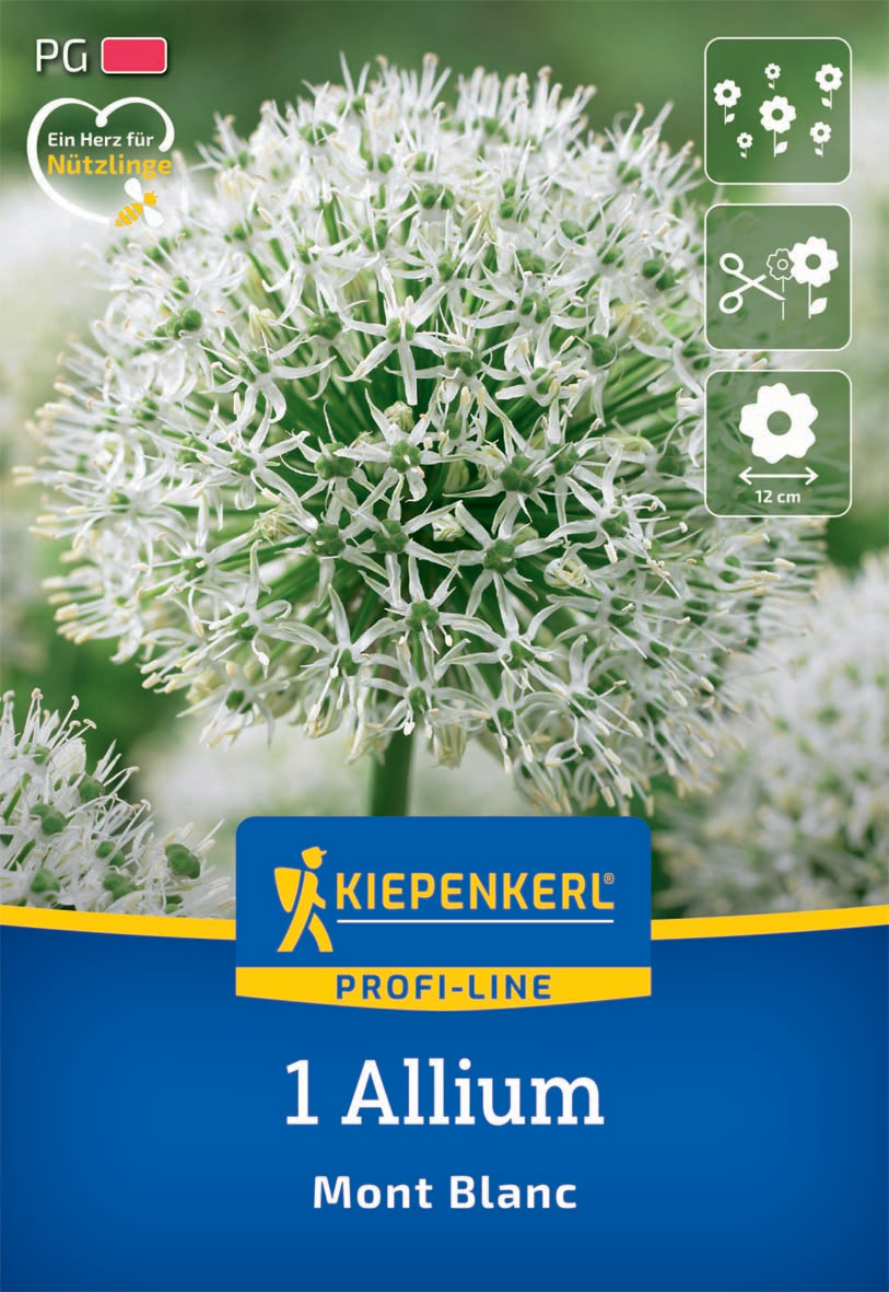 Profi-Line Zierlauch Mont Blanc