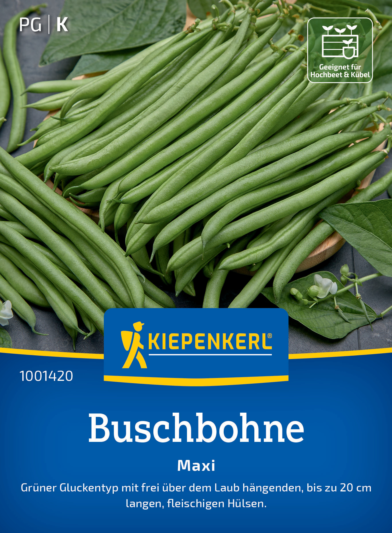 Buschbohne Maxi