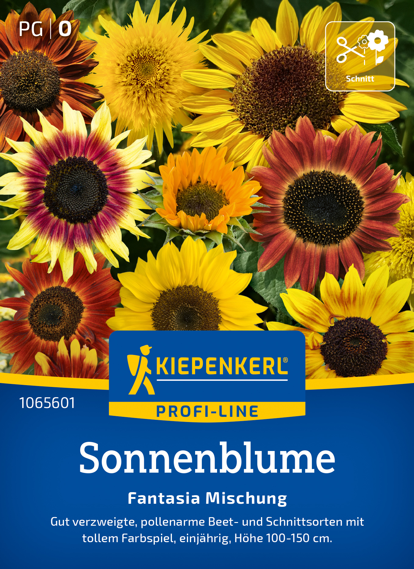 Sonnenblume Fantasia Mischung, F1 Sonnenblume Fantasia Mischung, F1