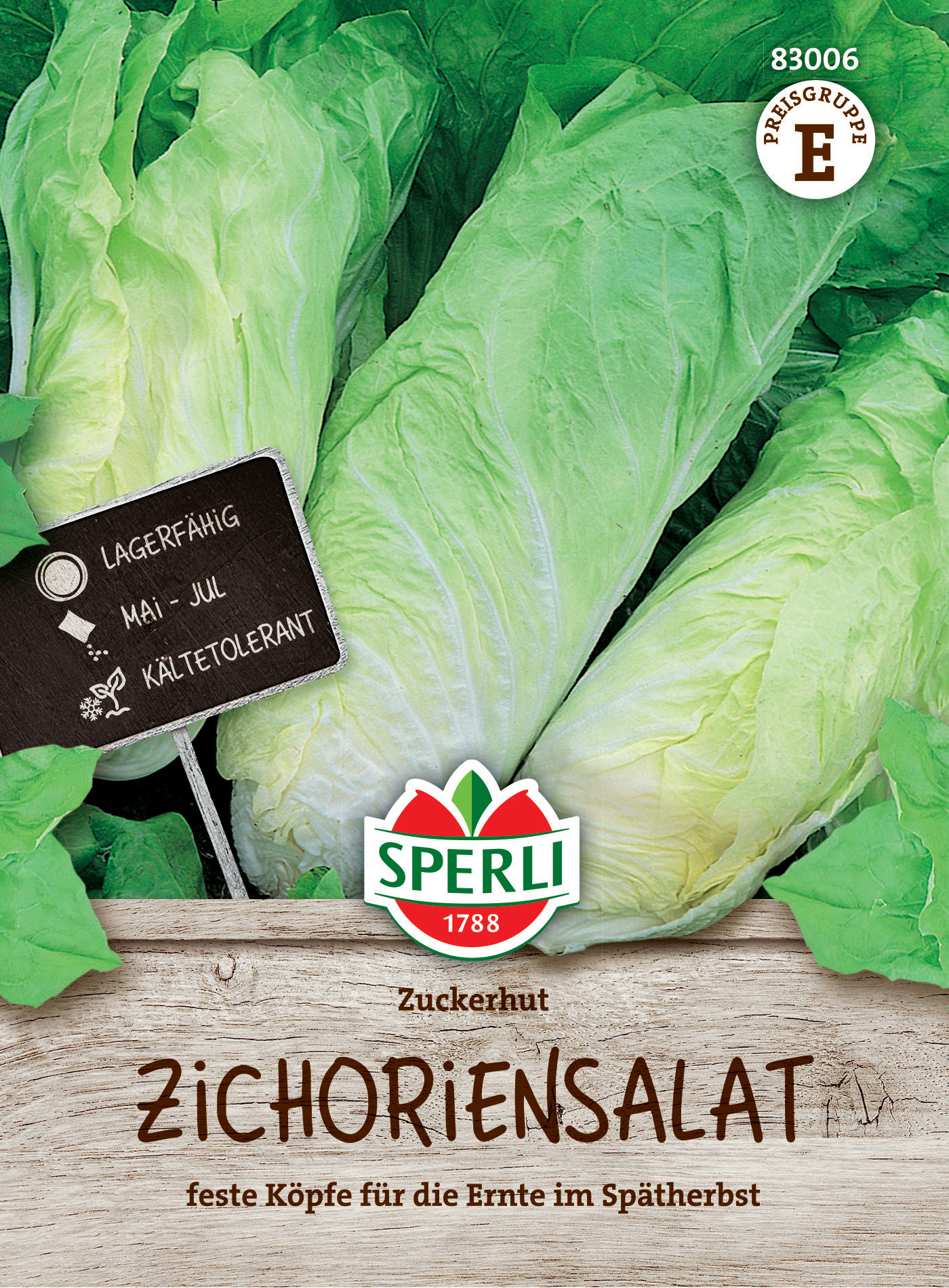 Zichoriensalat Zuckerhut Zichoriensalat Zuckerhut
